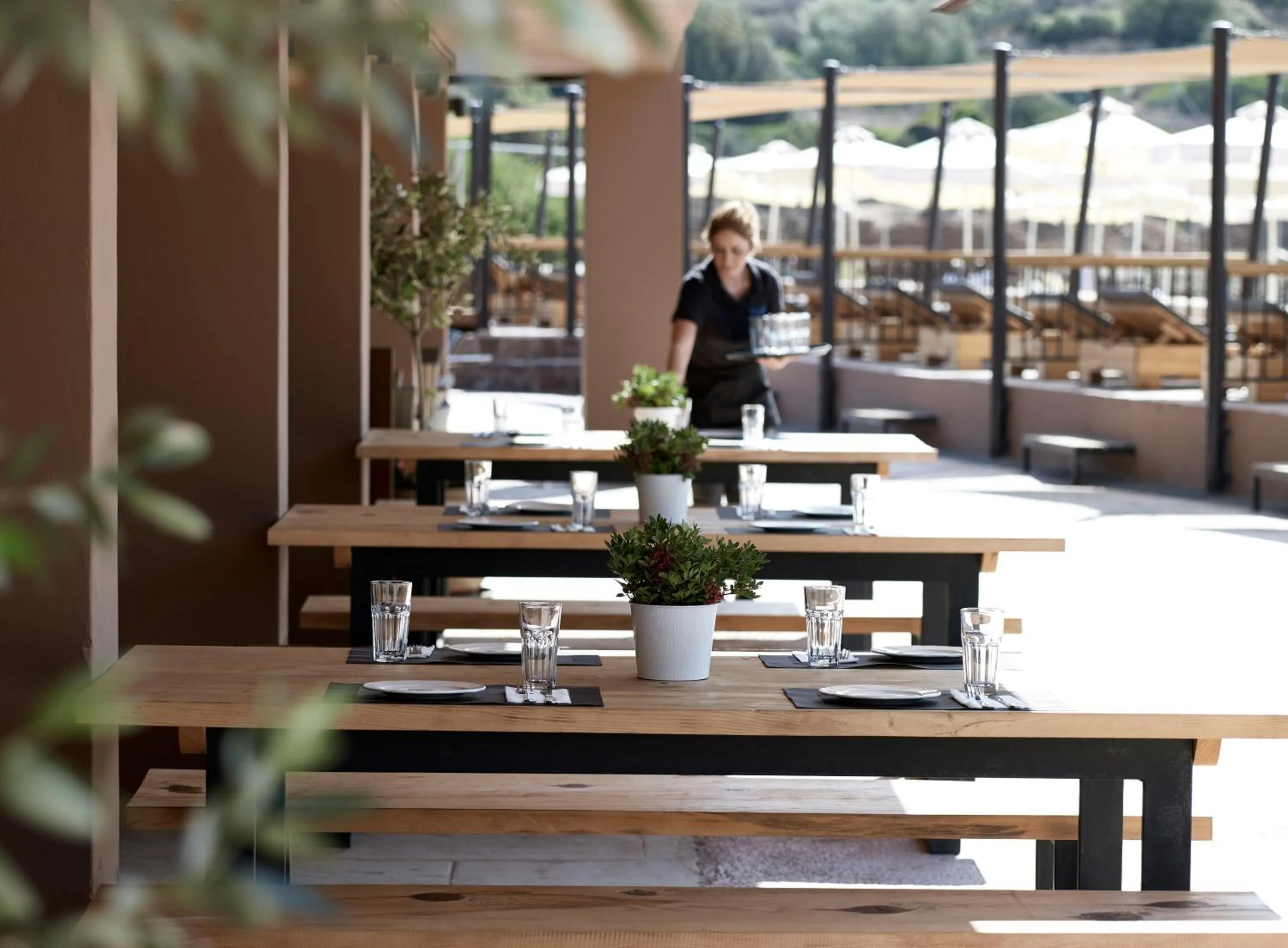 Restaurant/places to eat in Aegeon Beach Hotel