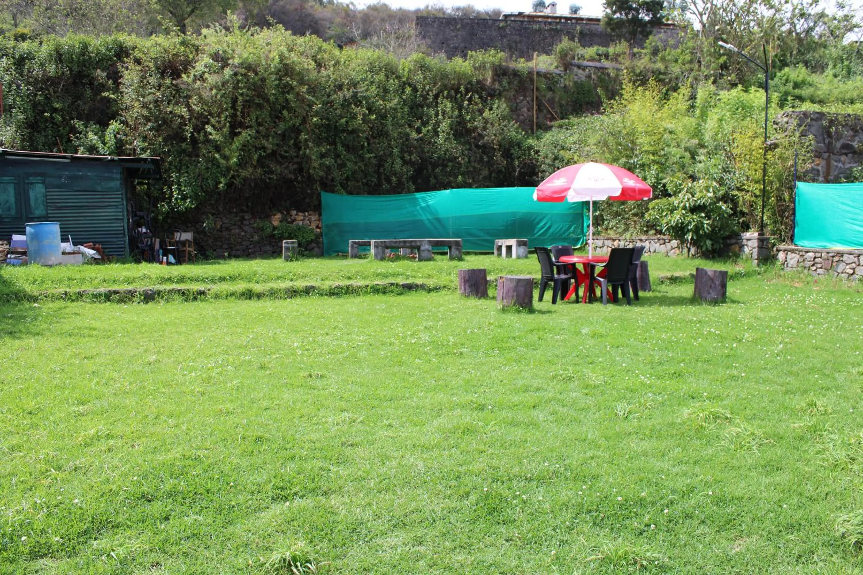 Garden view in Hotel Temple Towers