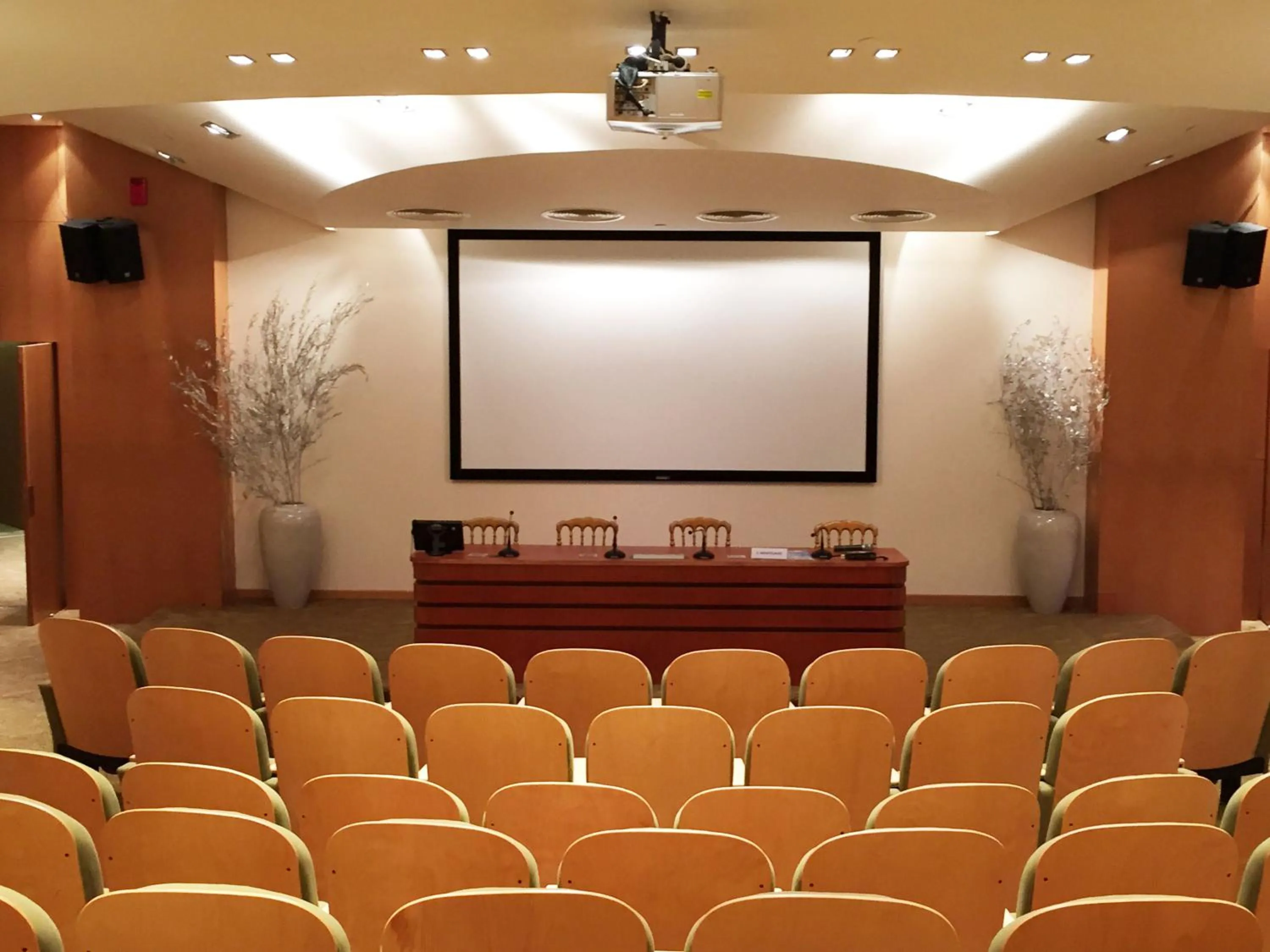 Meeting/conference room in Theoxenia Palace