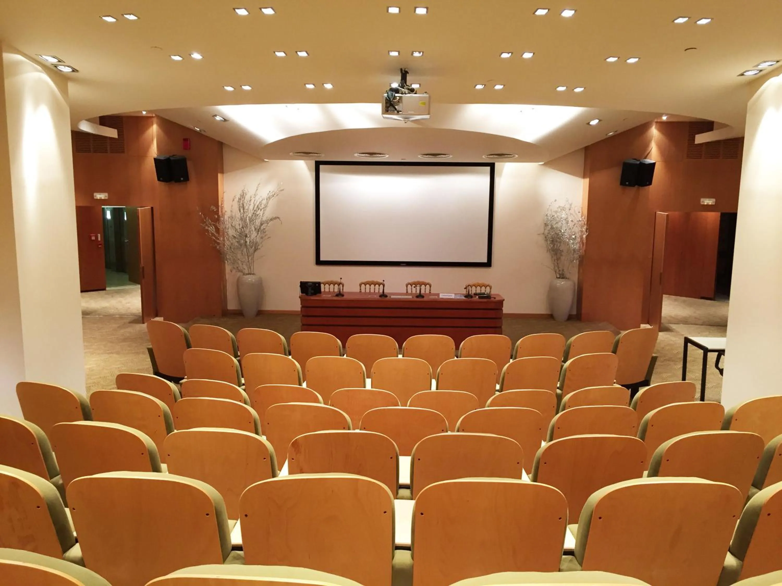 Meeting/conference room in Theoxenia Palace