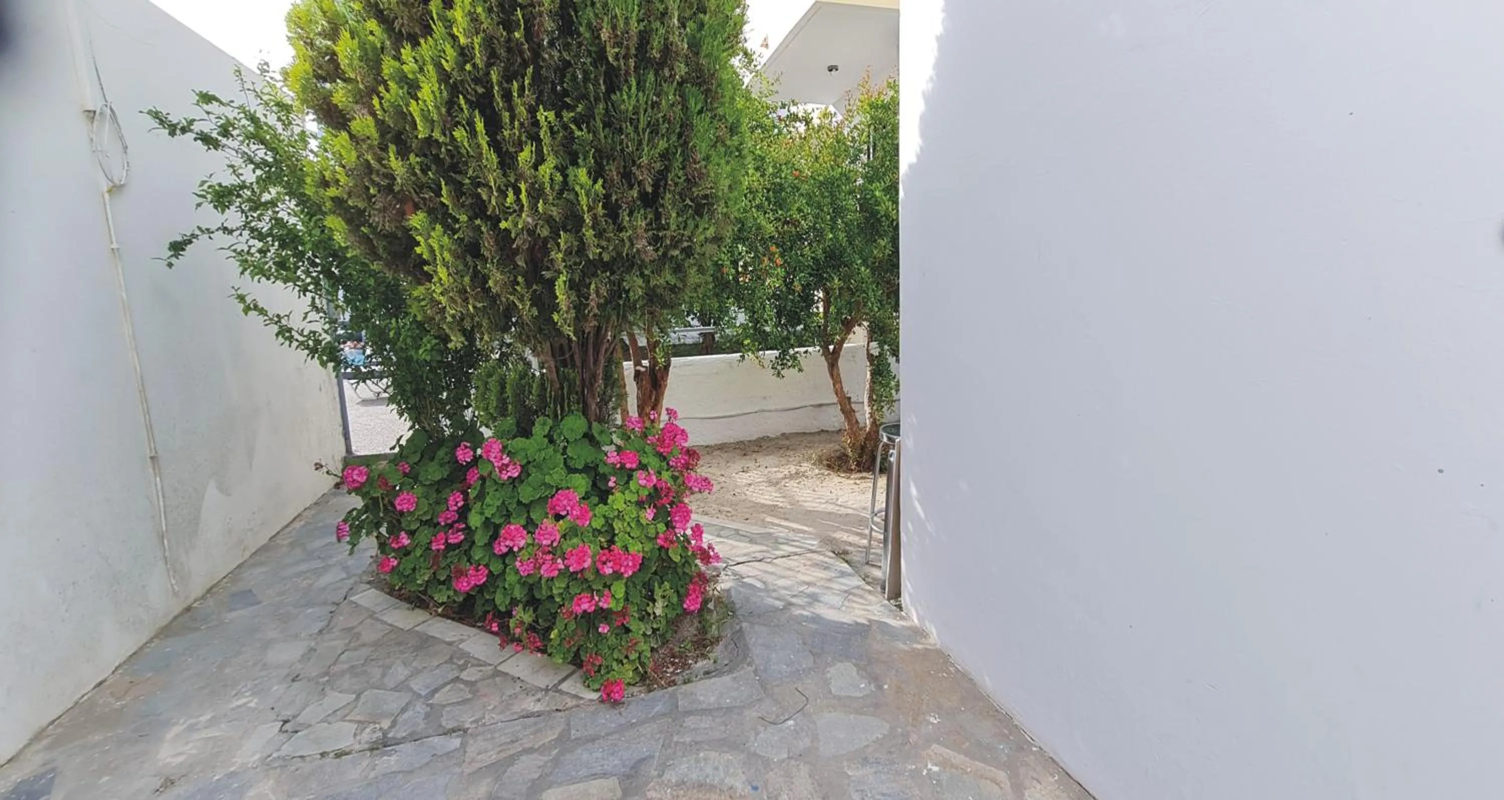 Property building in JP Pool & Apartments