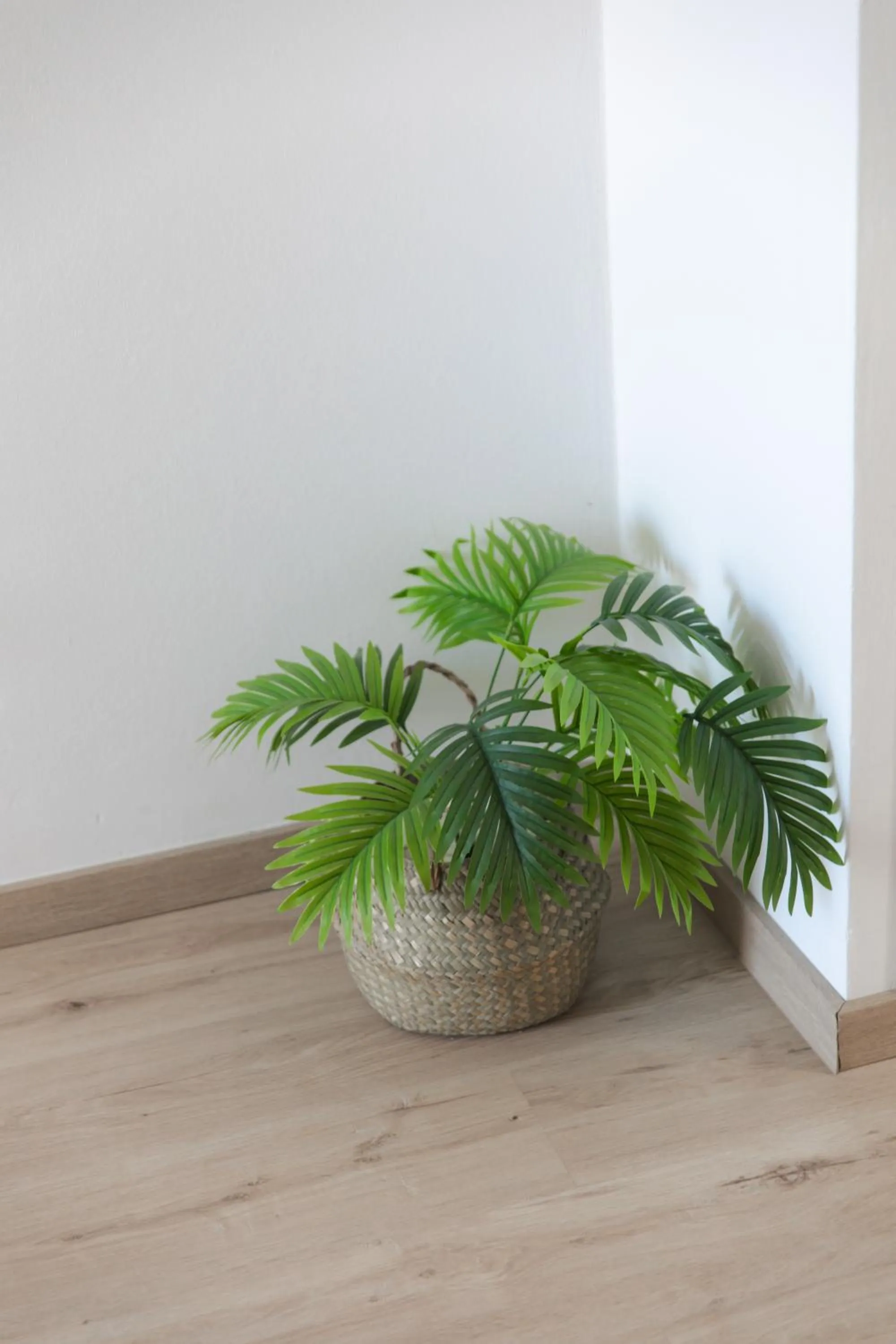 JP Pool & Apartments