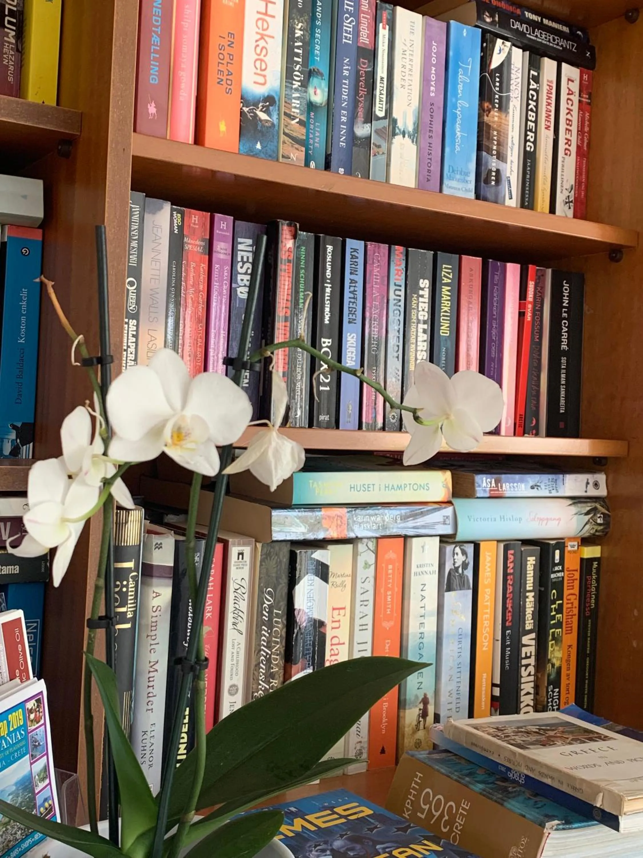 Library in Ermis Suites