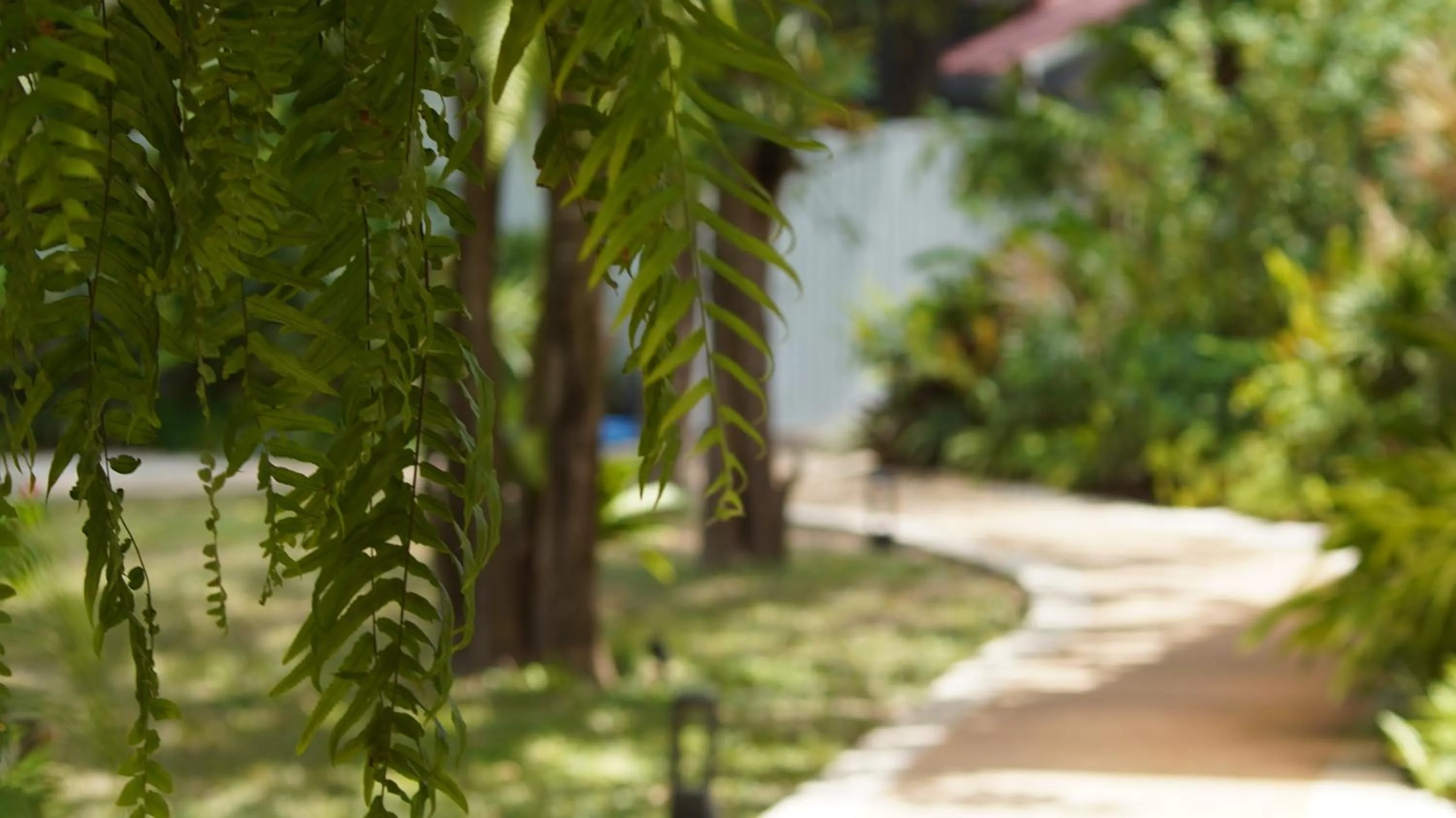 Natural landscape in Treeya Lanta
