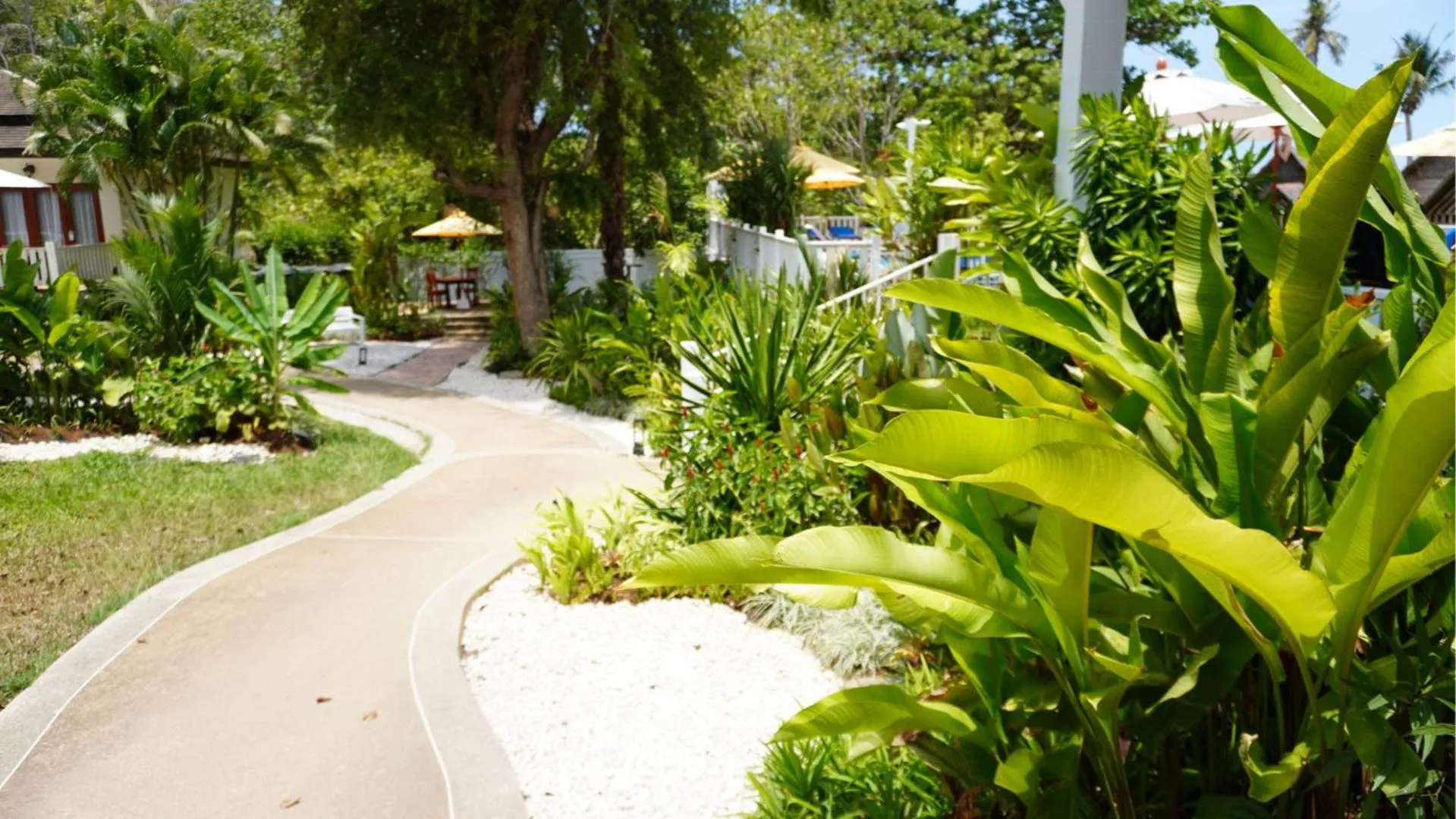 Spring in Treeya Lanta