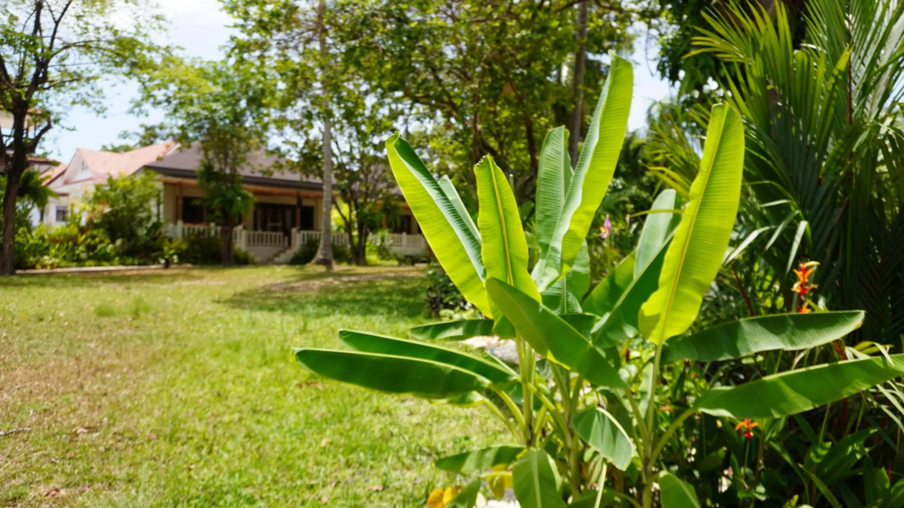 Spring in Treeya Lanta