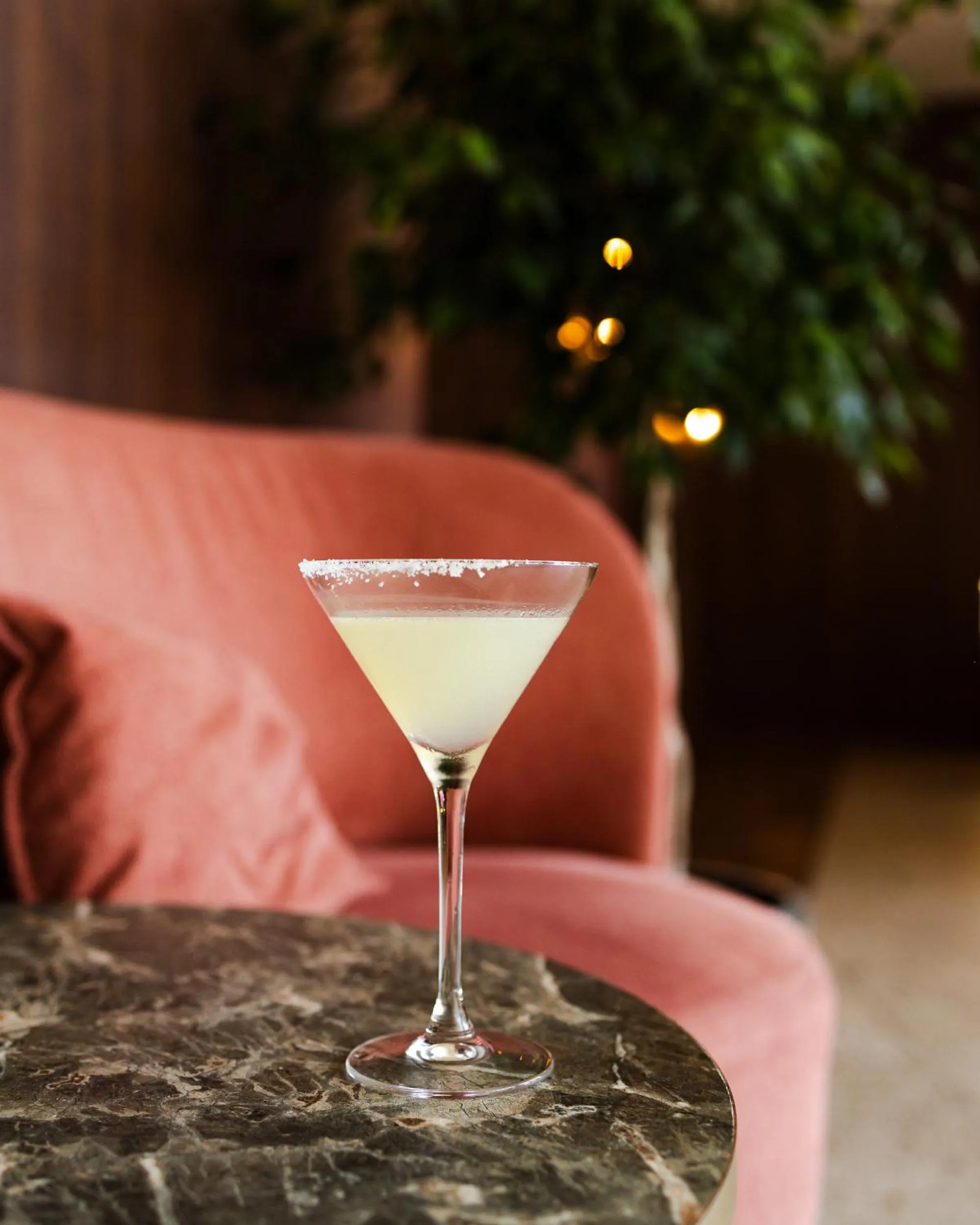 Lounge or bar in Hotel Linea Mare