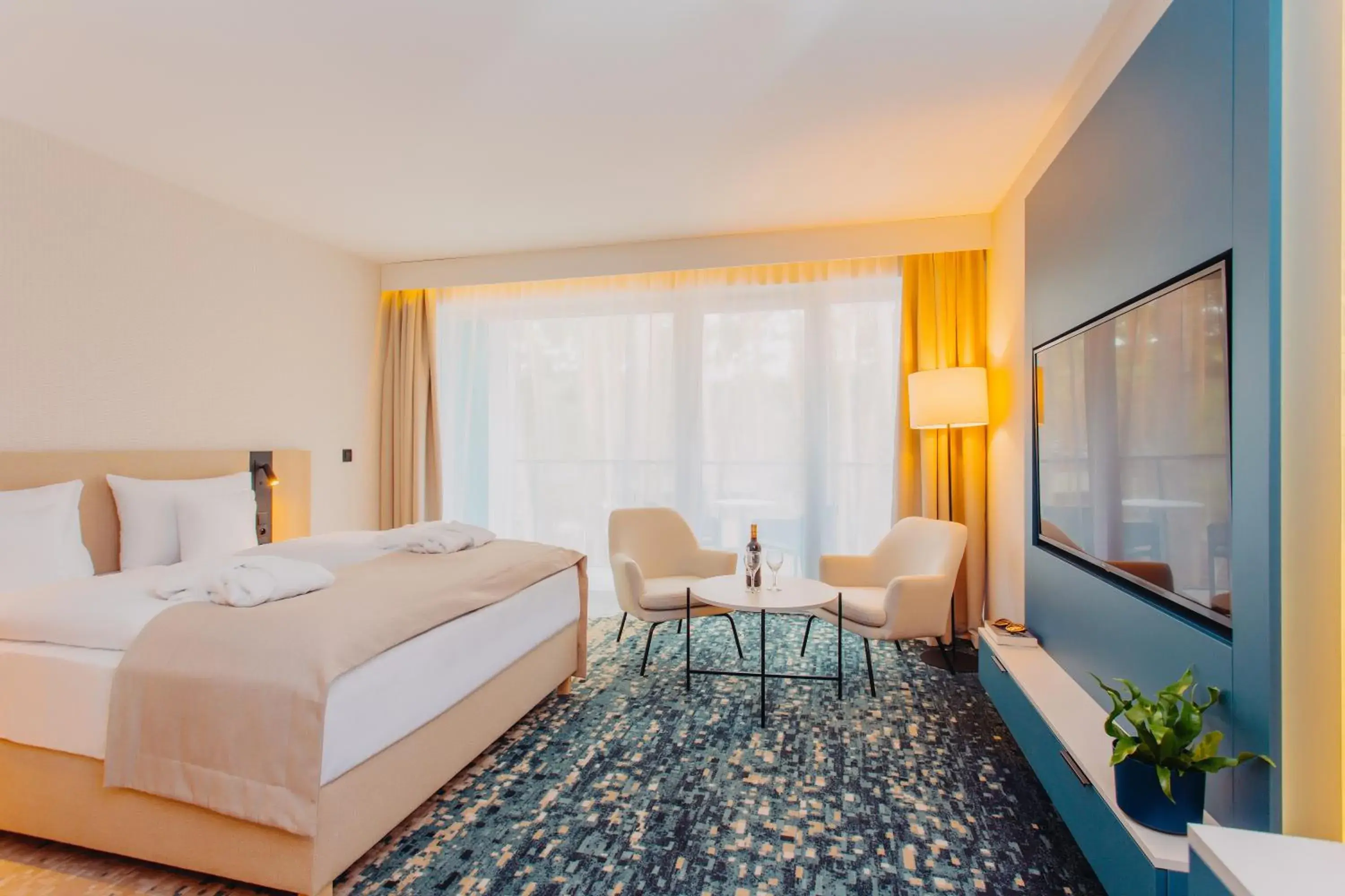 Double Room - single occupancy - Hotel***** in Hotel Linea Mare Double Room - single occupancy - Hotel***** in Hotel Linea Mare