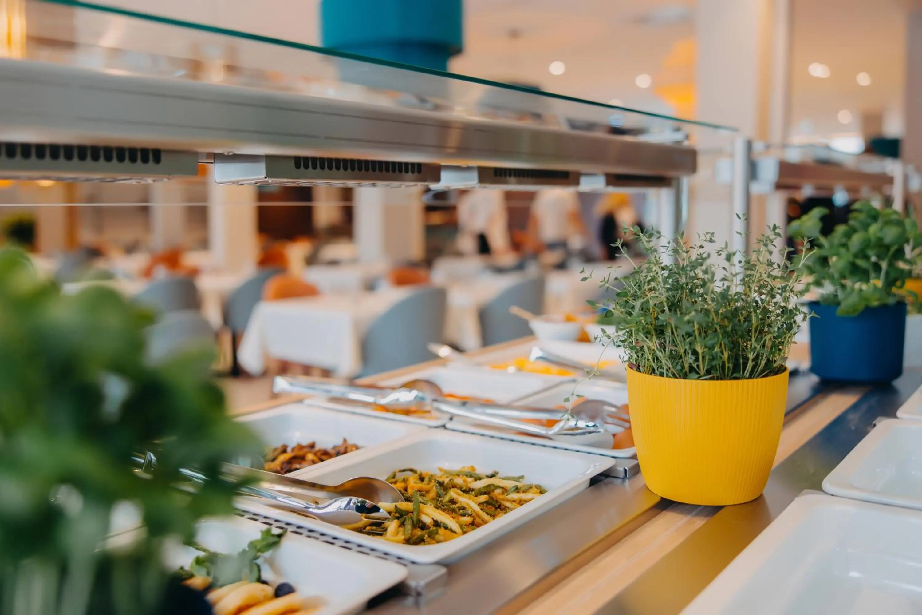 Restaurant/places to eat in Hotel Linea Mare