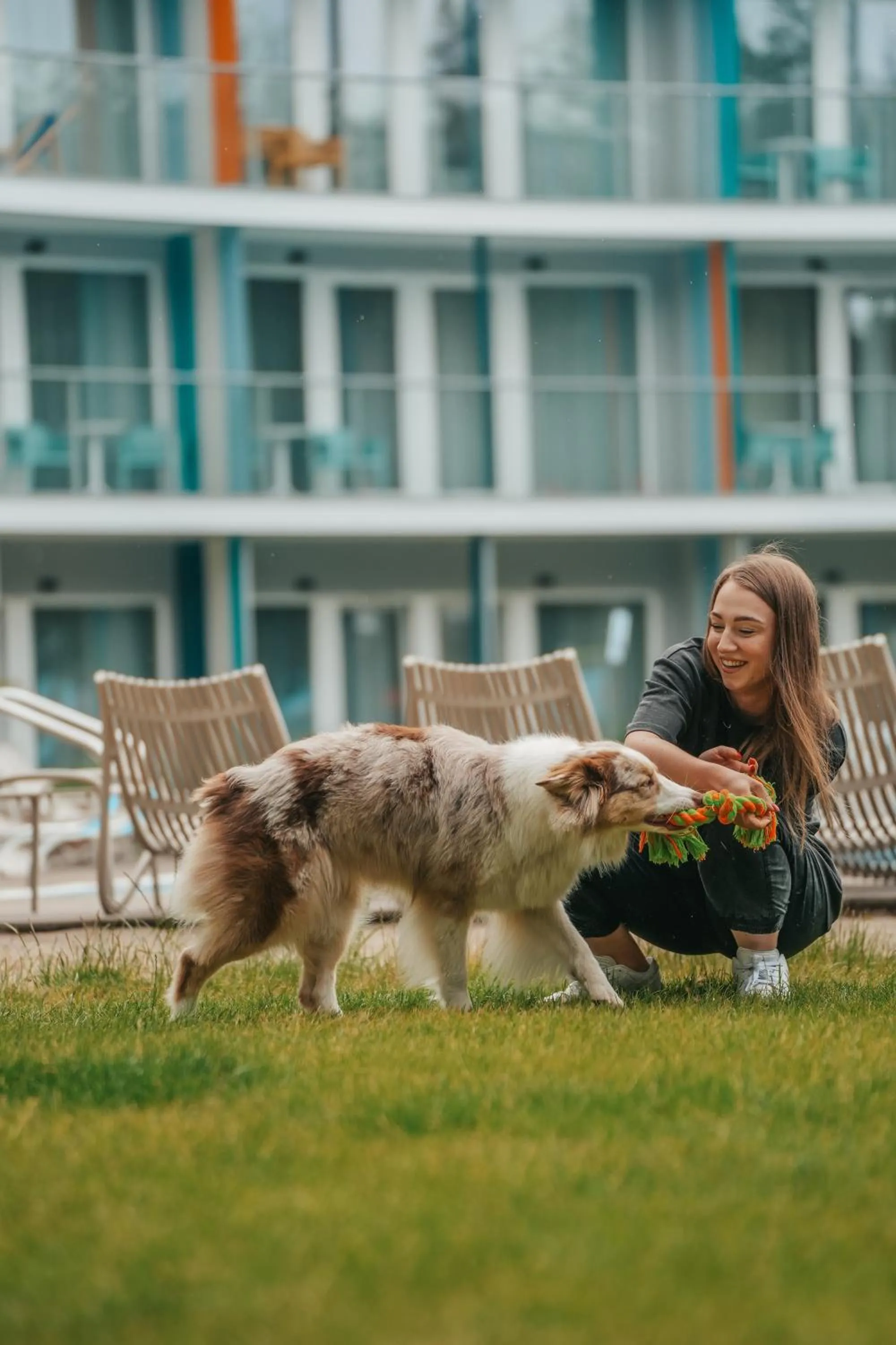 Property building in Hotel Linea Mare