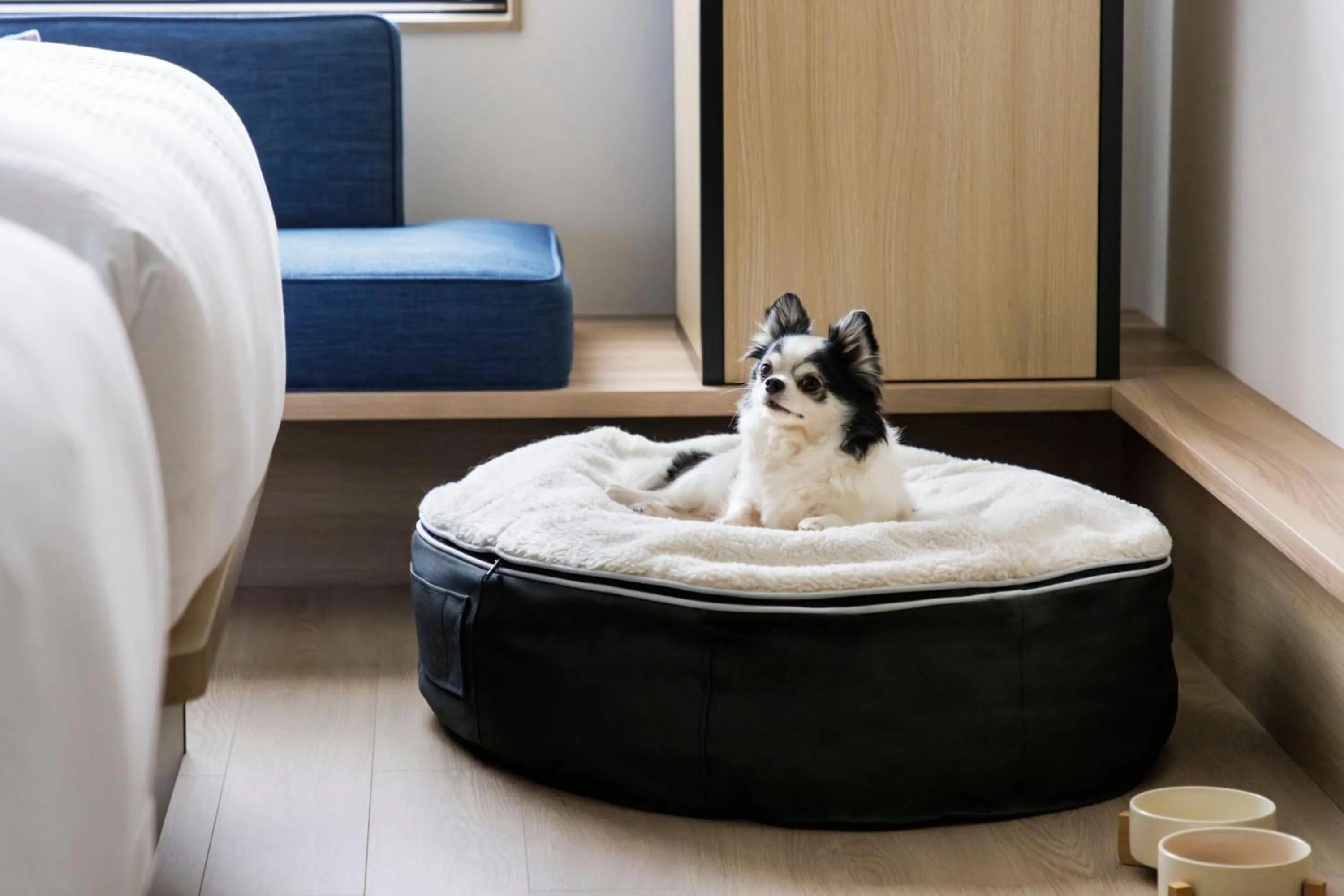 Photo of the whole room in Fairfield by Marriott Okayama Tsuyama