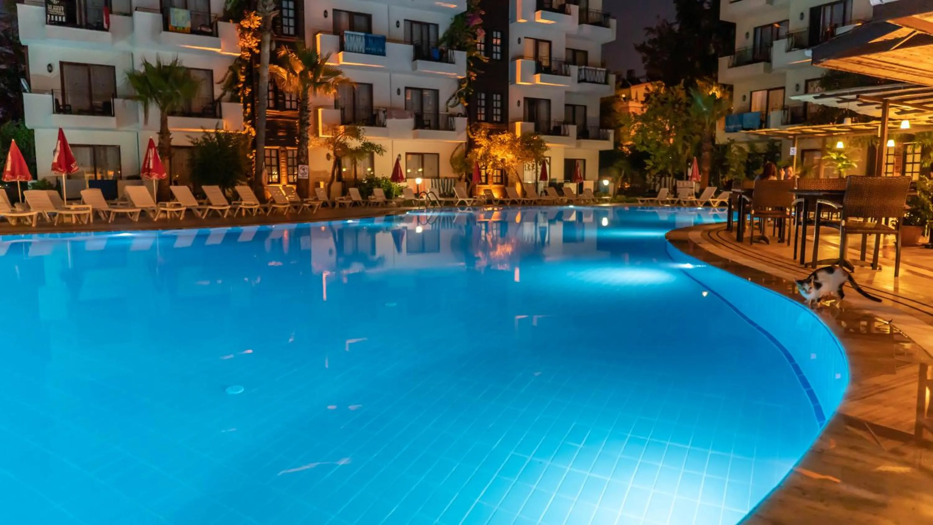 Night in LEMAS SUITE HOTEL