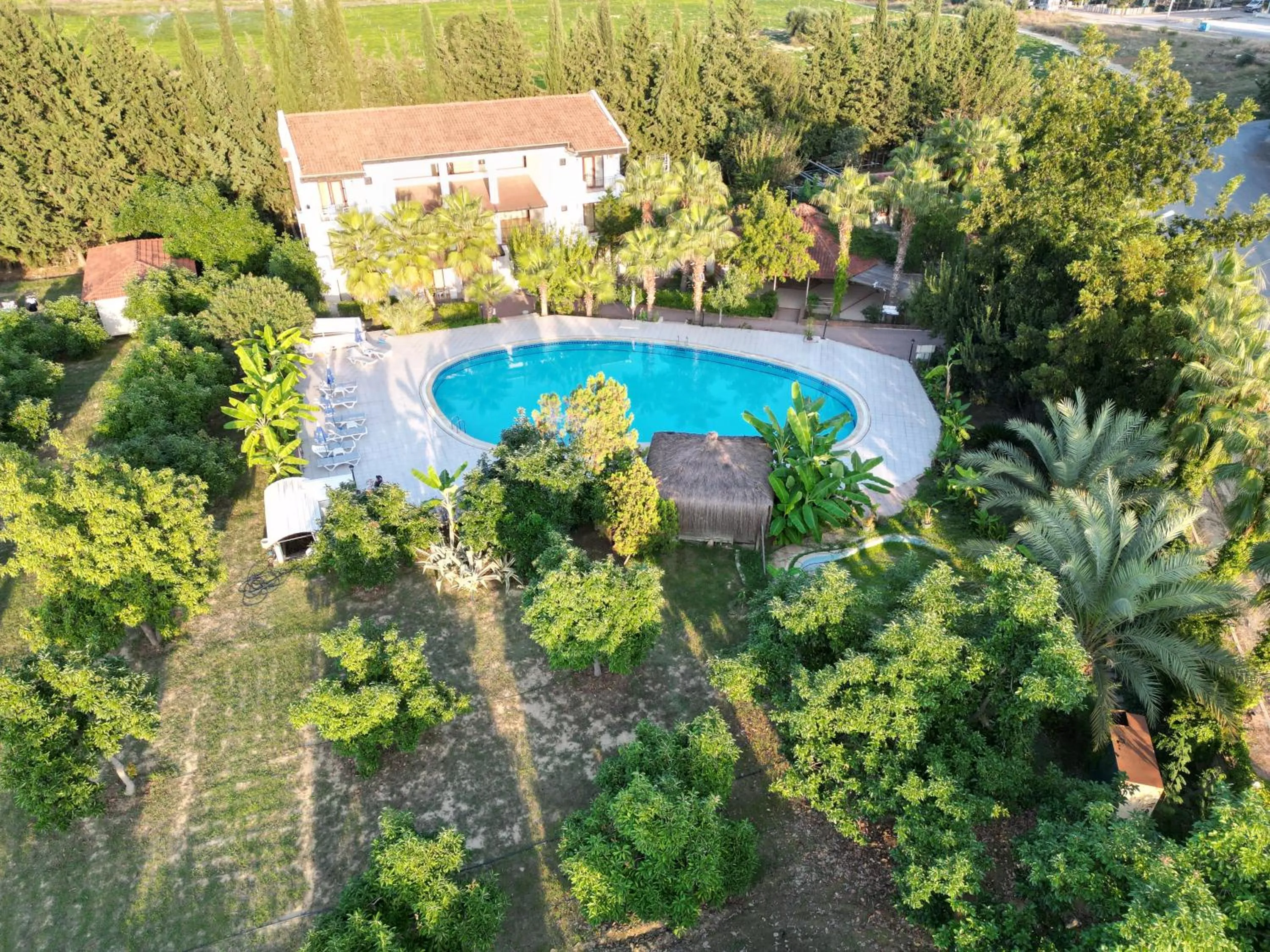 Garden in LEMAS SUITE HOTEL