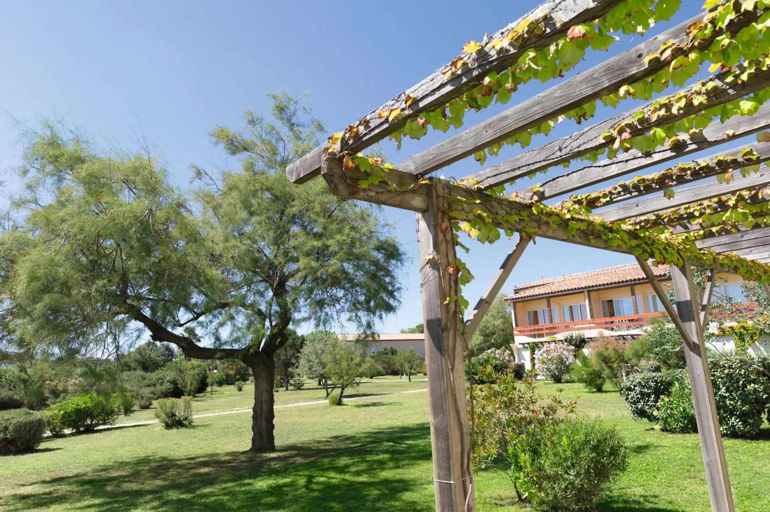 Garden in SOWELL Family Grau du Roi