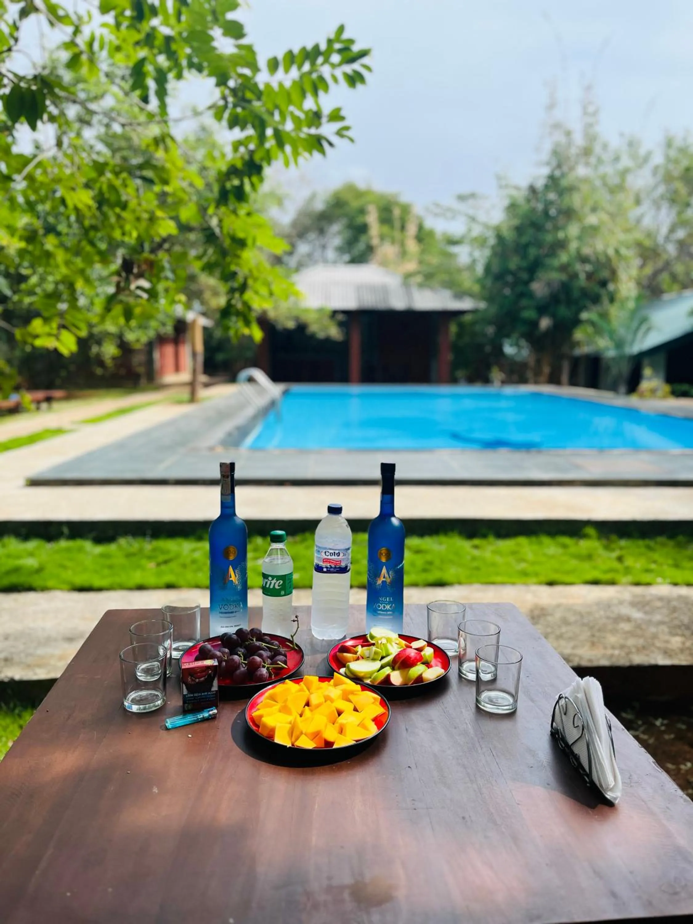Pool view in Naturaliza Sigiriya