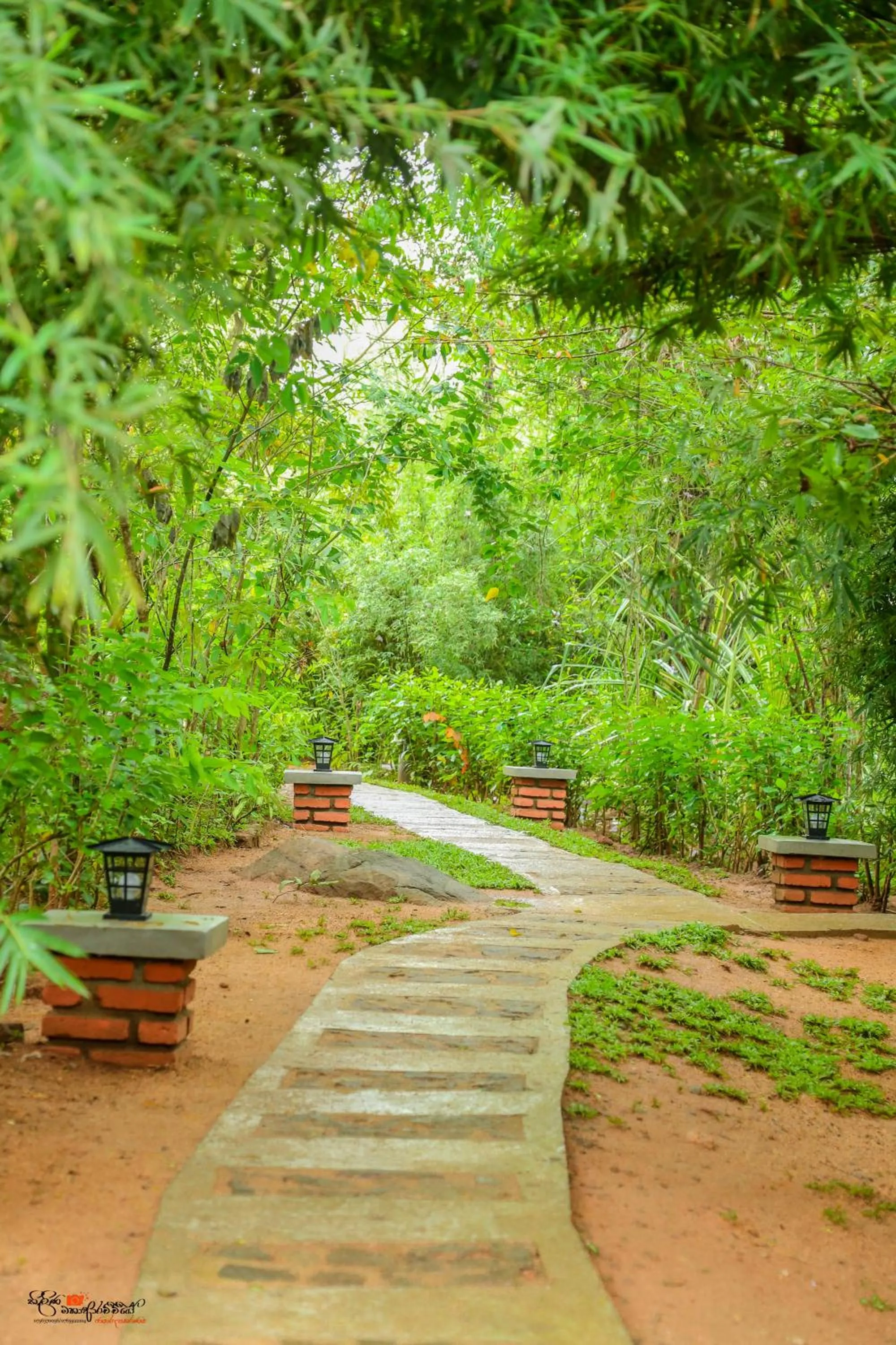 Natural landscape in Naturaliza Sigiriya