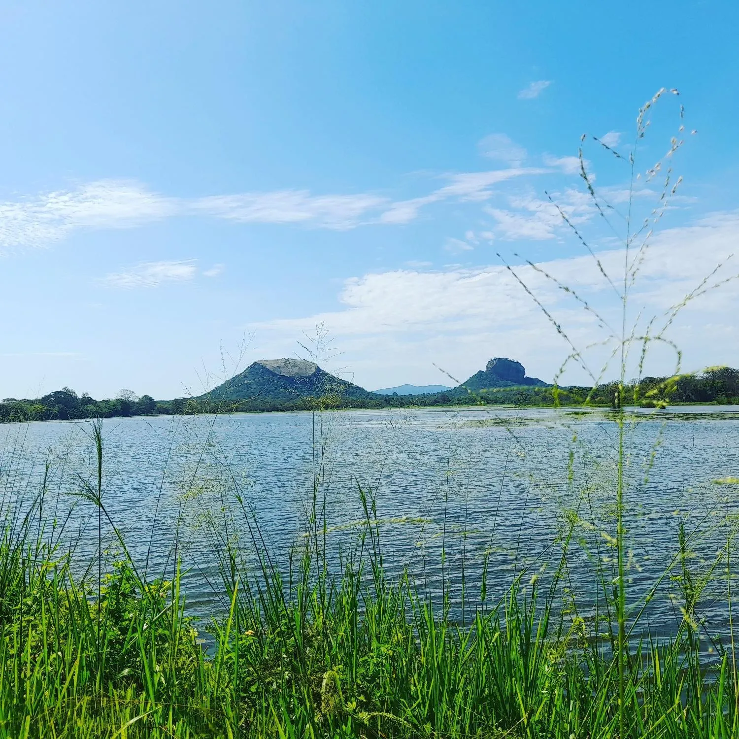Nearby landmark in Naturaliza Sigiriya