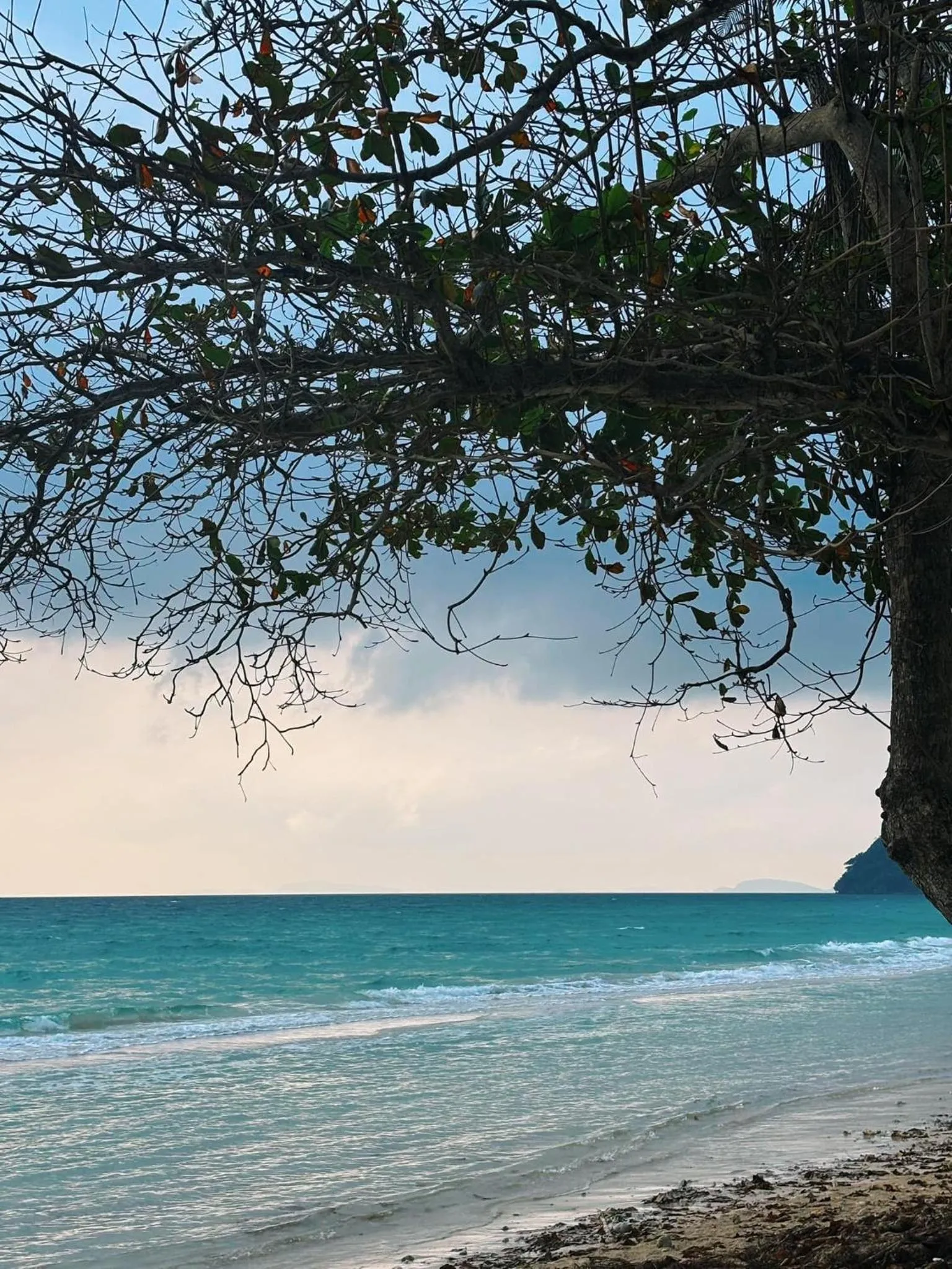 Sea view in Thungwua laen resort