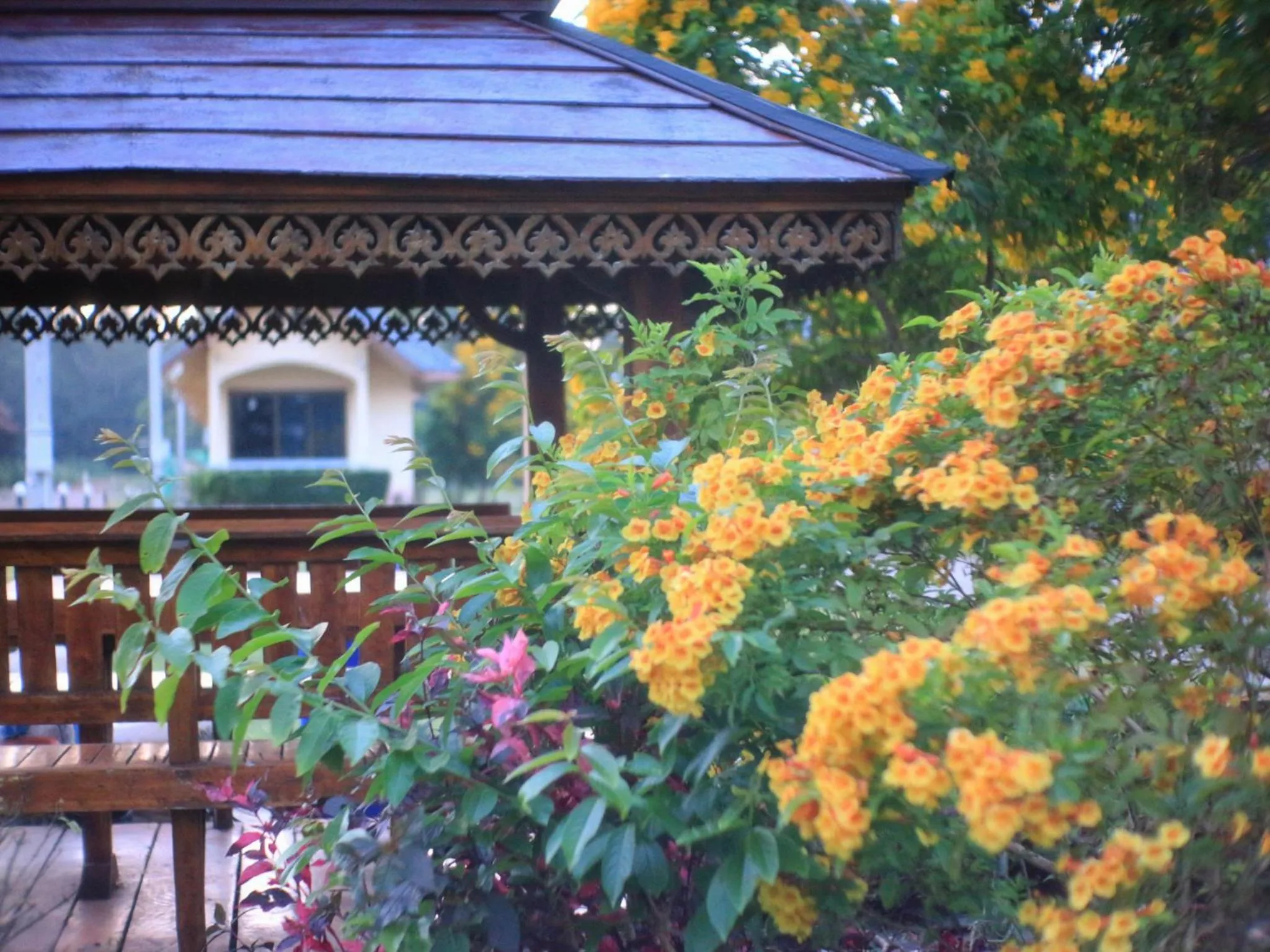 Seating area in Thungwua laen resort