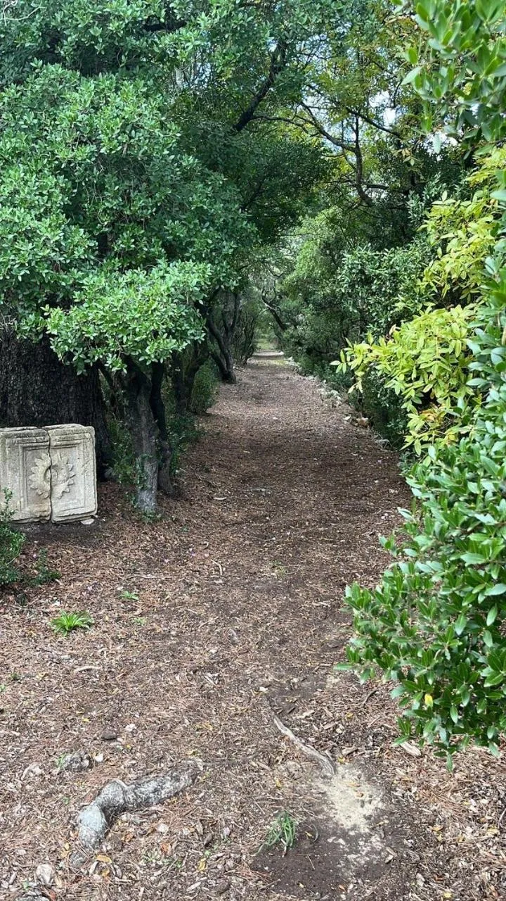 Garden view in Château de Collias - Maison de Vacances
