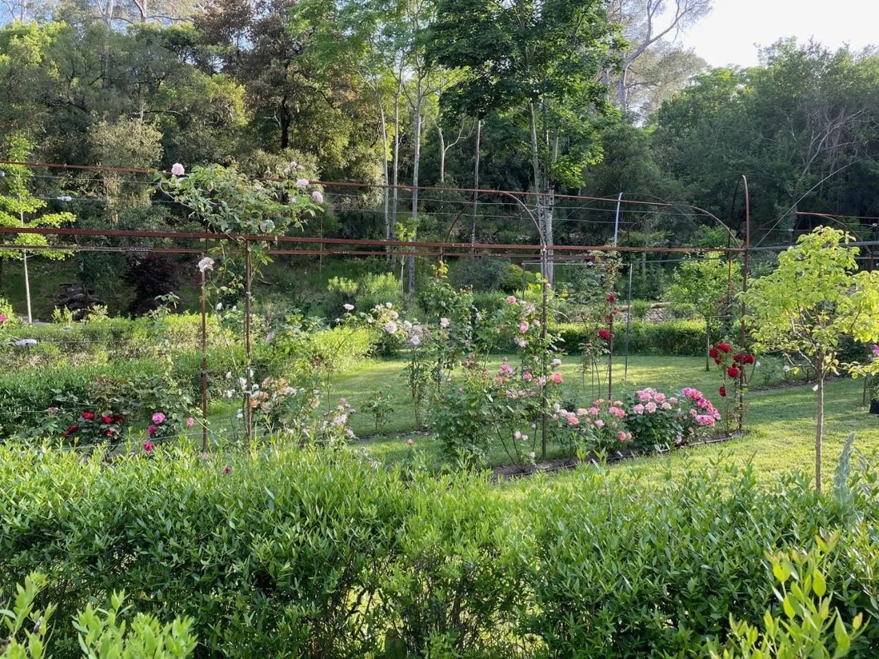 Garden view in Château de Collias - Maison de Vacances