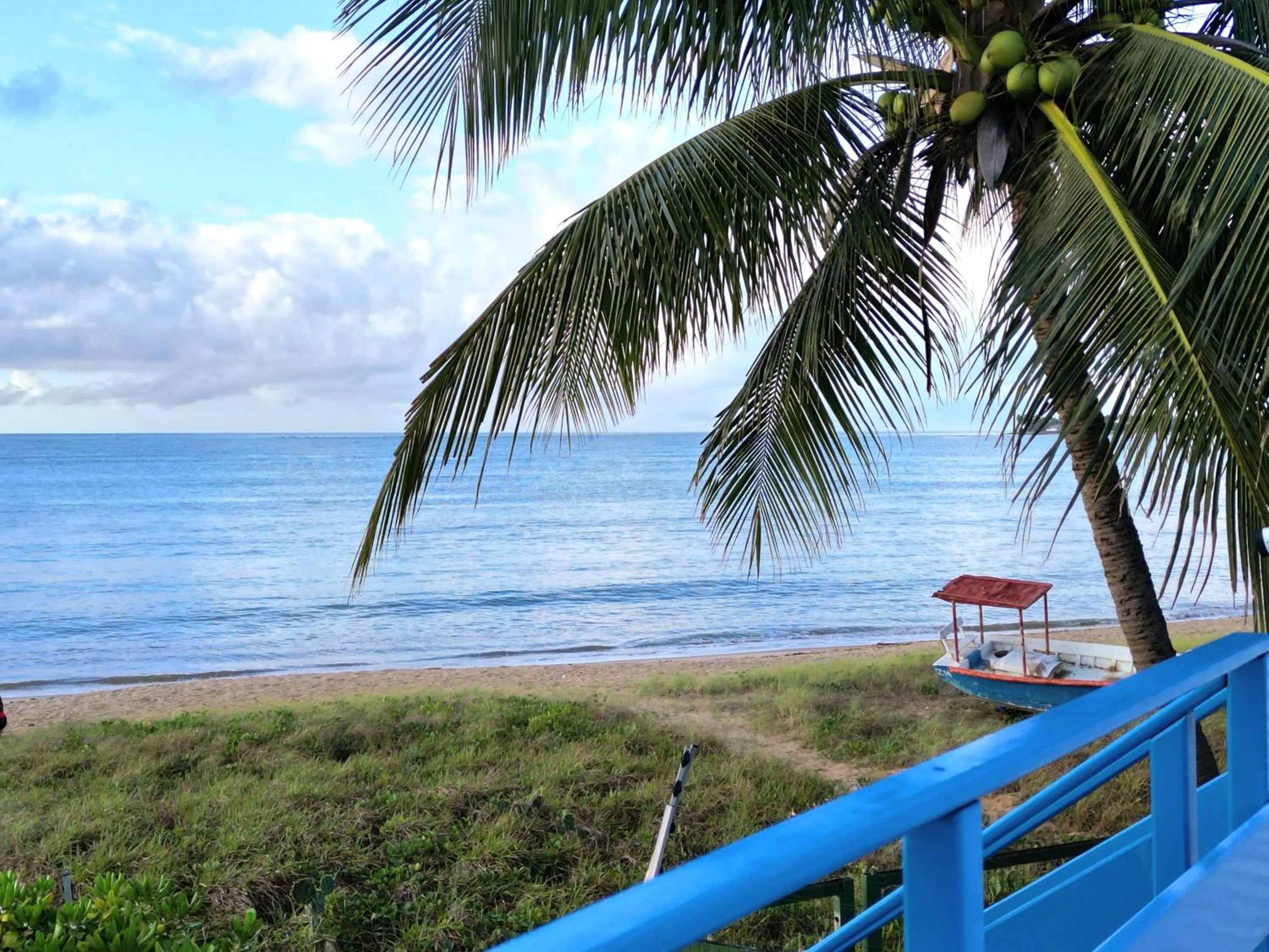 Natural landscape in Manaí Pousada & Beach Club