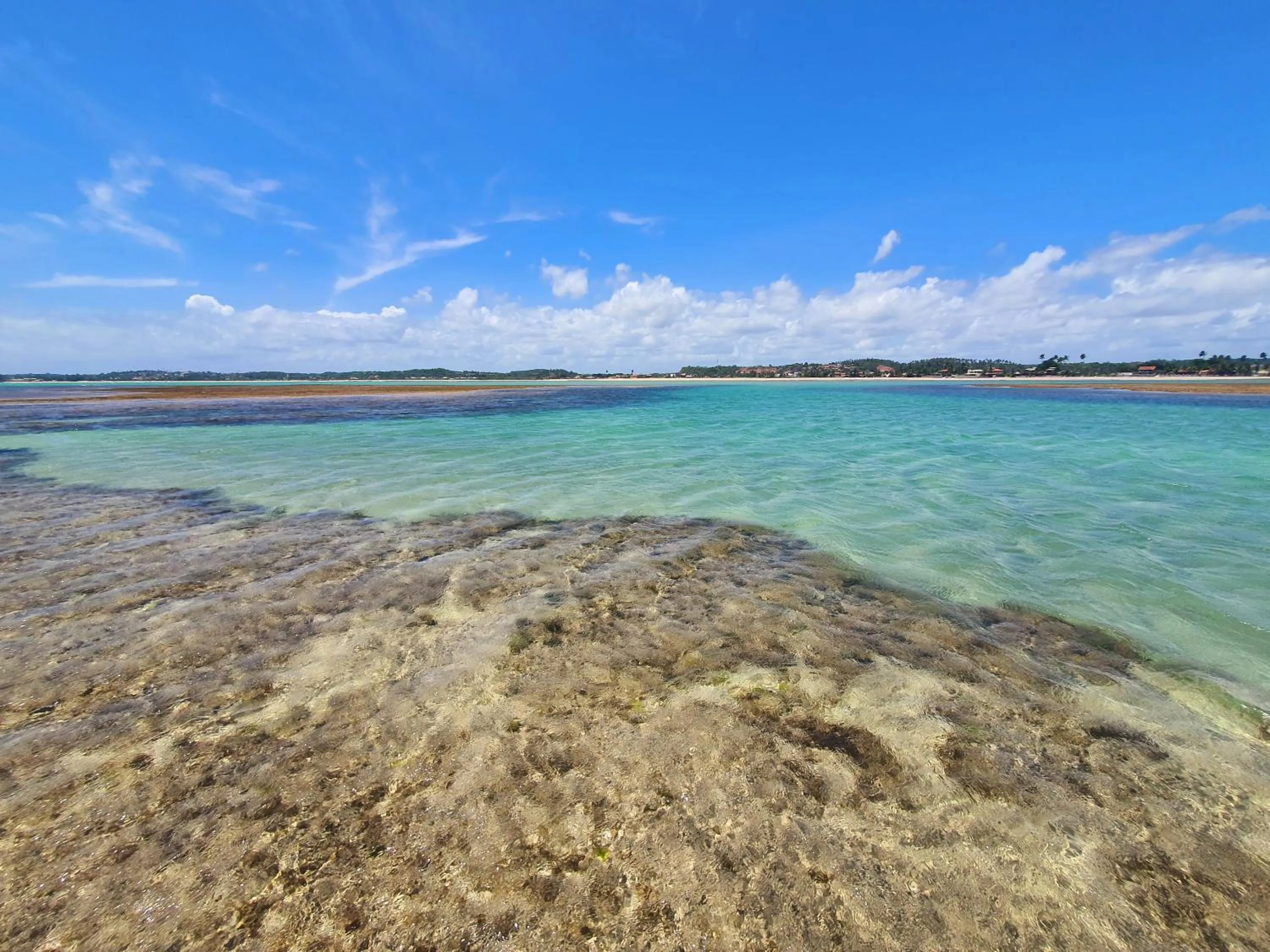 Natural landscape in Manaí Pousada & Beach Club
