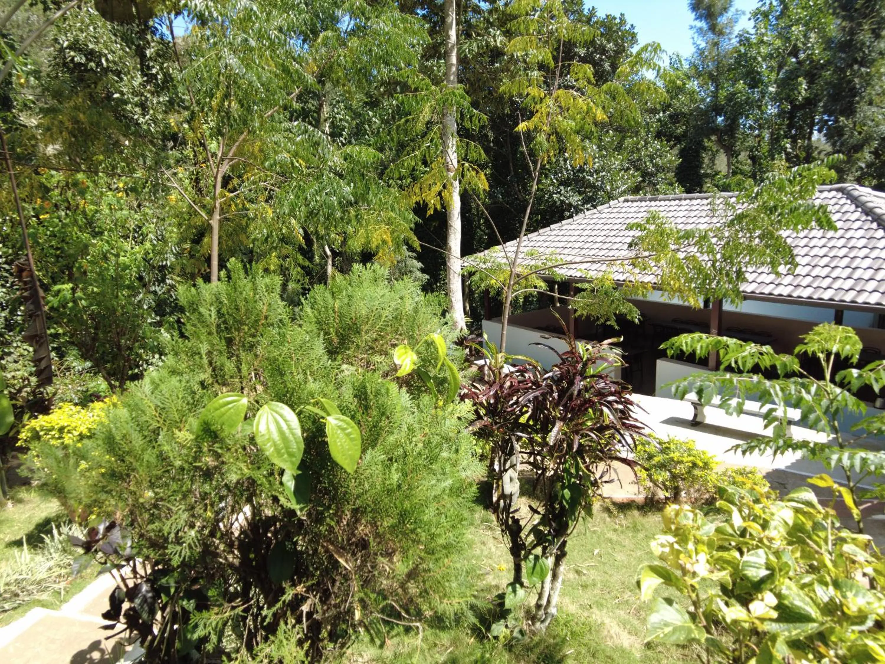 Garden in Seattle Garden Resort - KolliHills