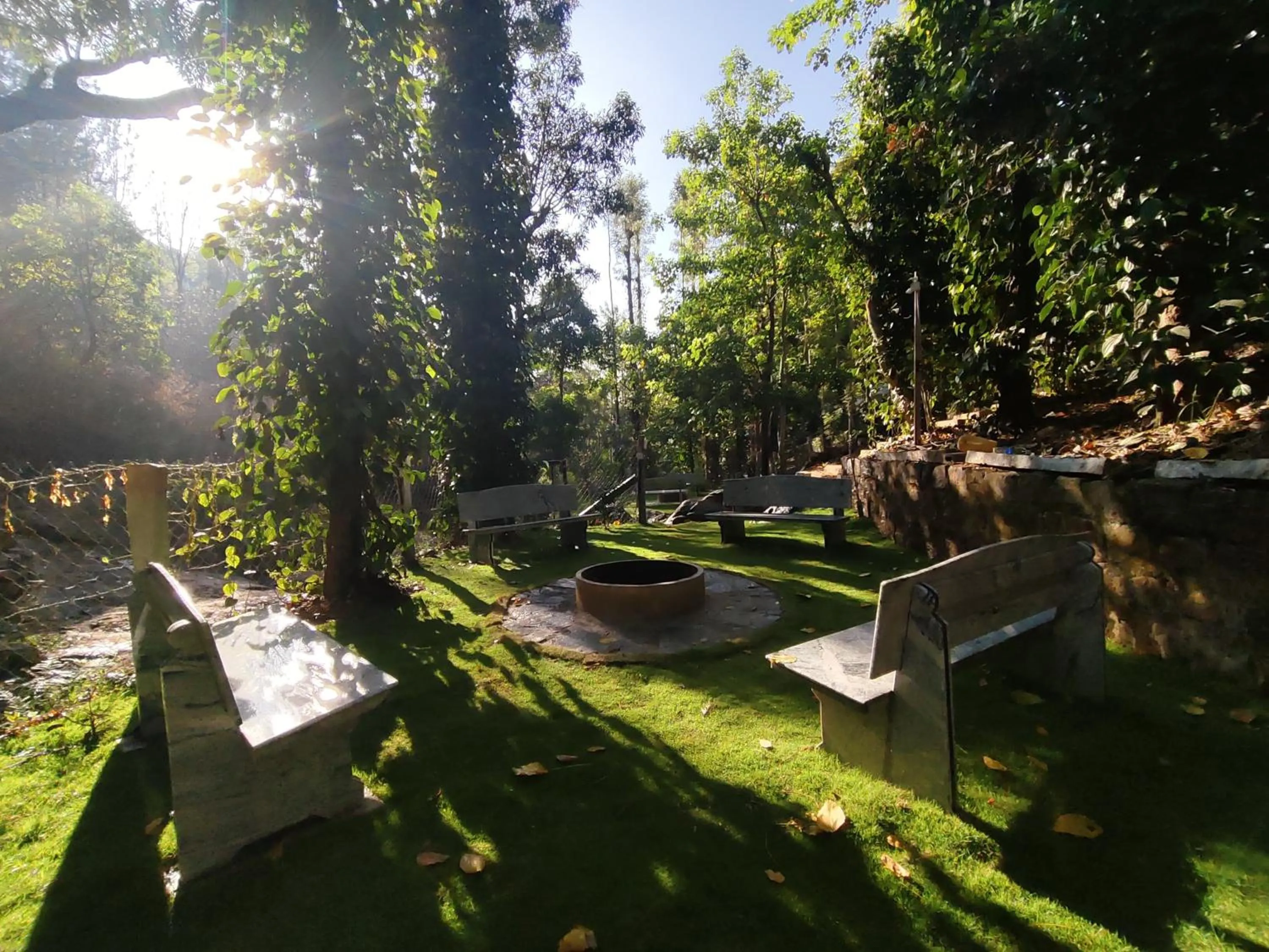 flat iron in Seattle Garden Resort - KolliHills