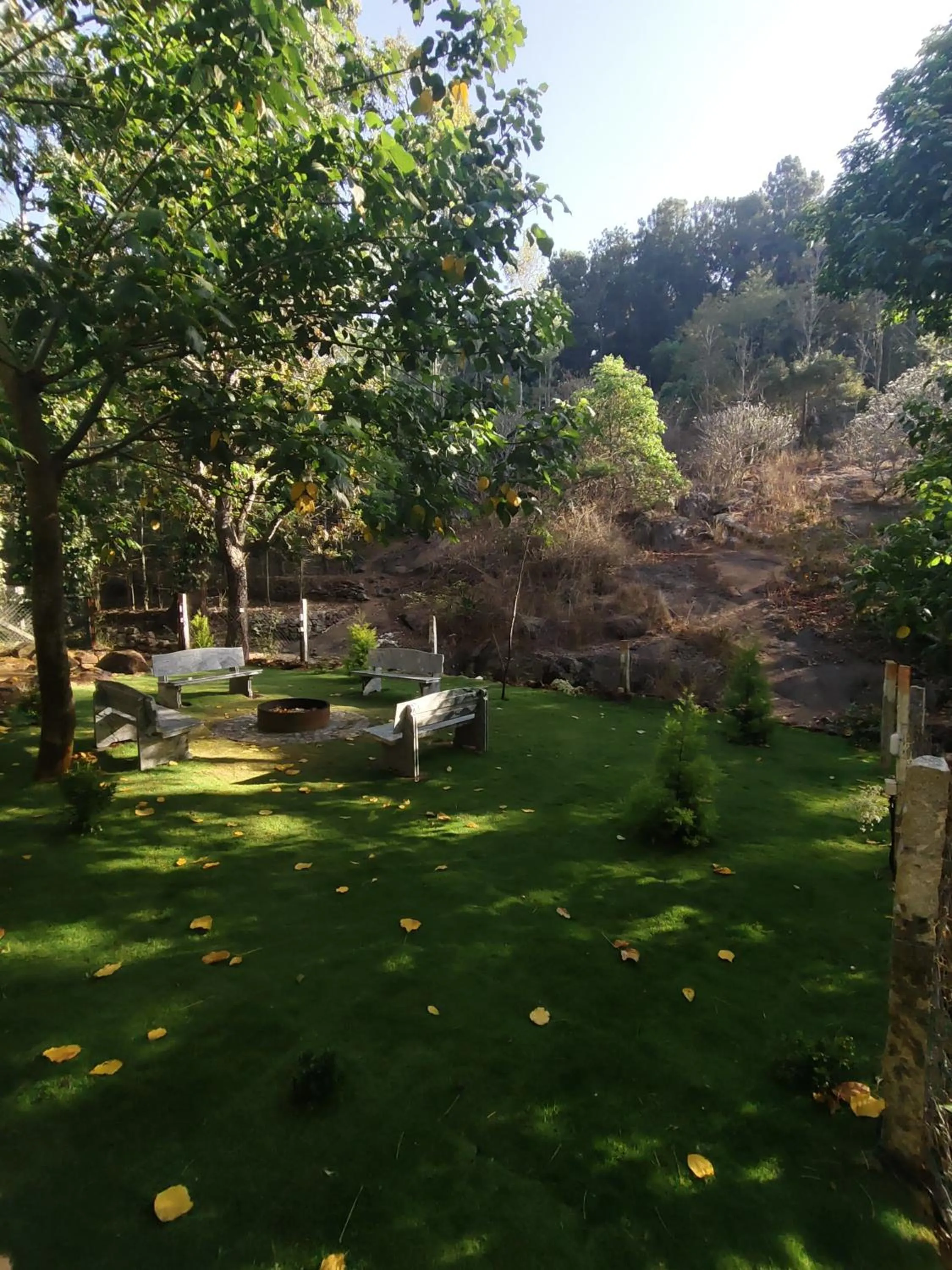 Seating area in Seattle Garden Resort - KolliHills