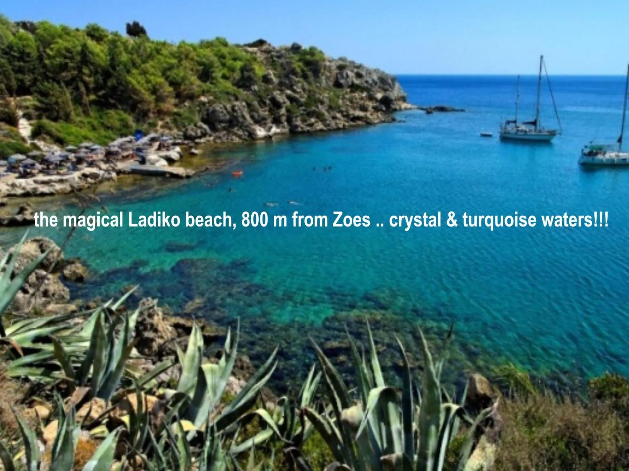 Area and facilities in Zoes Hotel & Suites