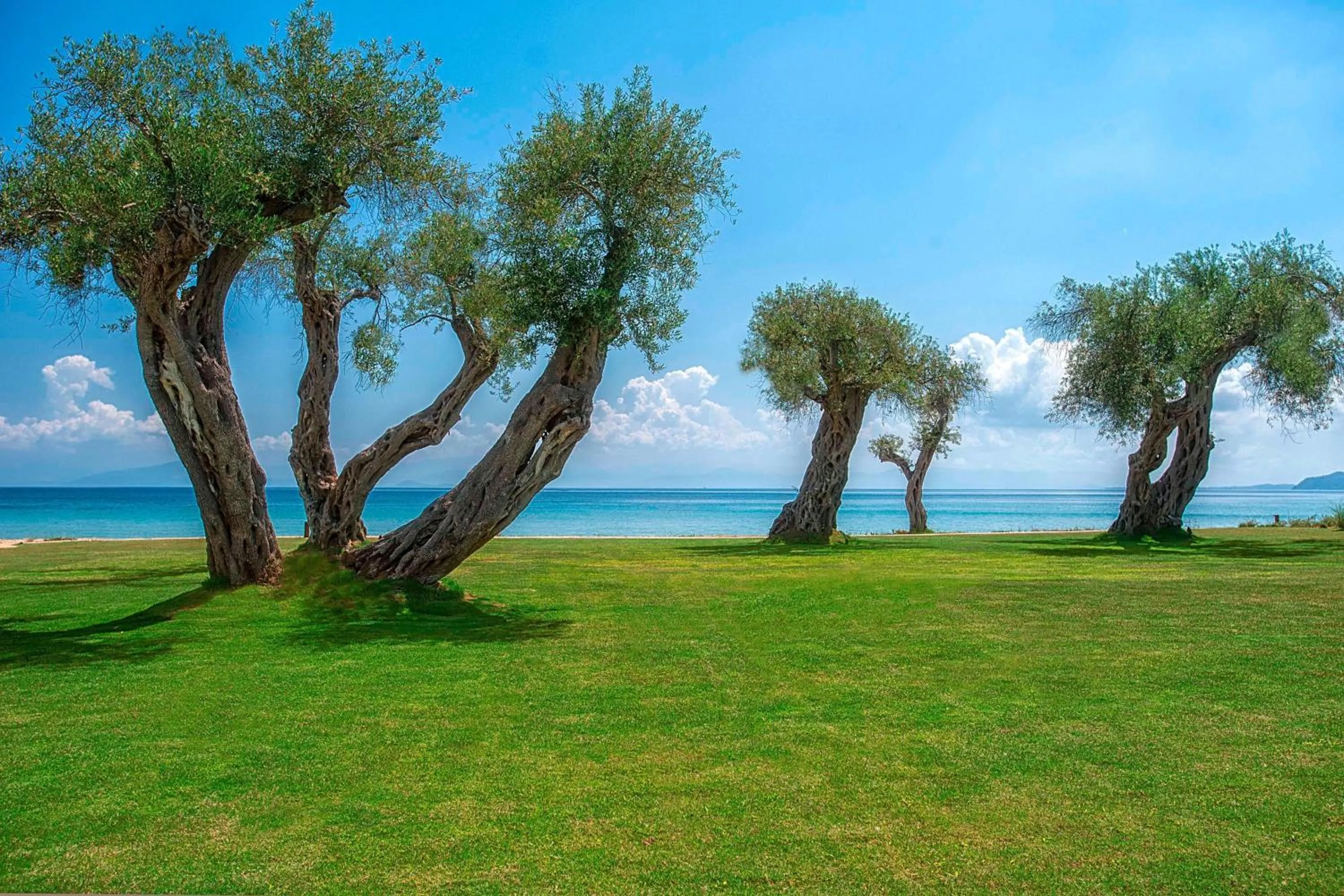 View (from property/room) in Domes Miramare, a Luxury Collection Resort, Corfu - Adults Only