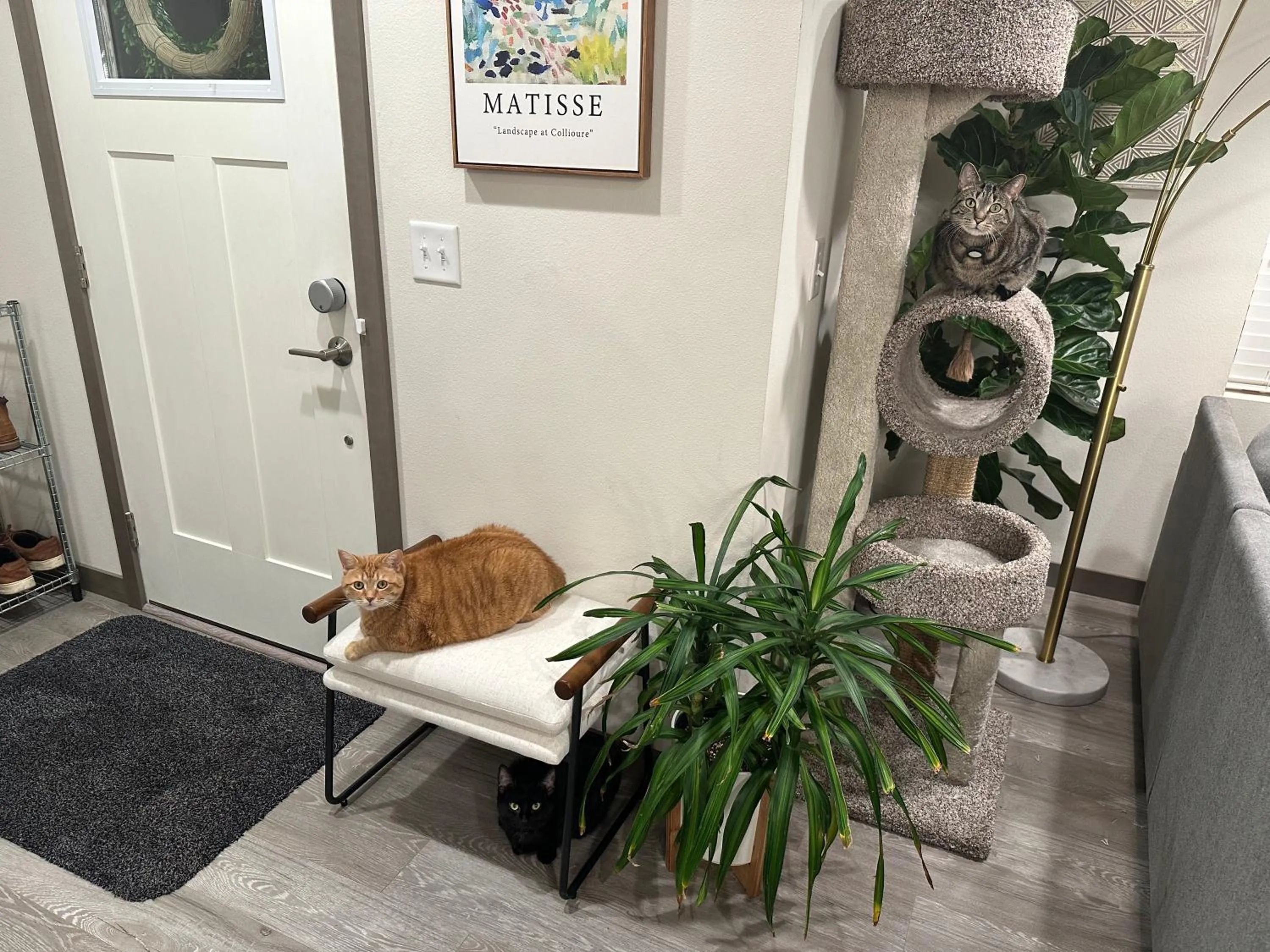 Central Tacoma Homestay with breakfast included -private room-