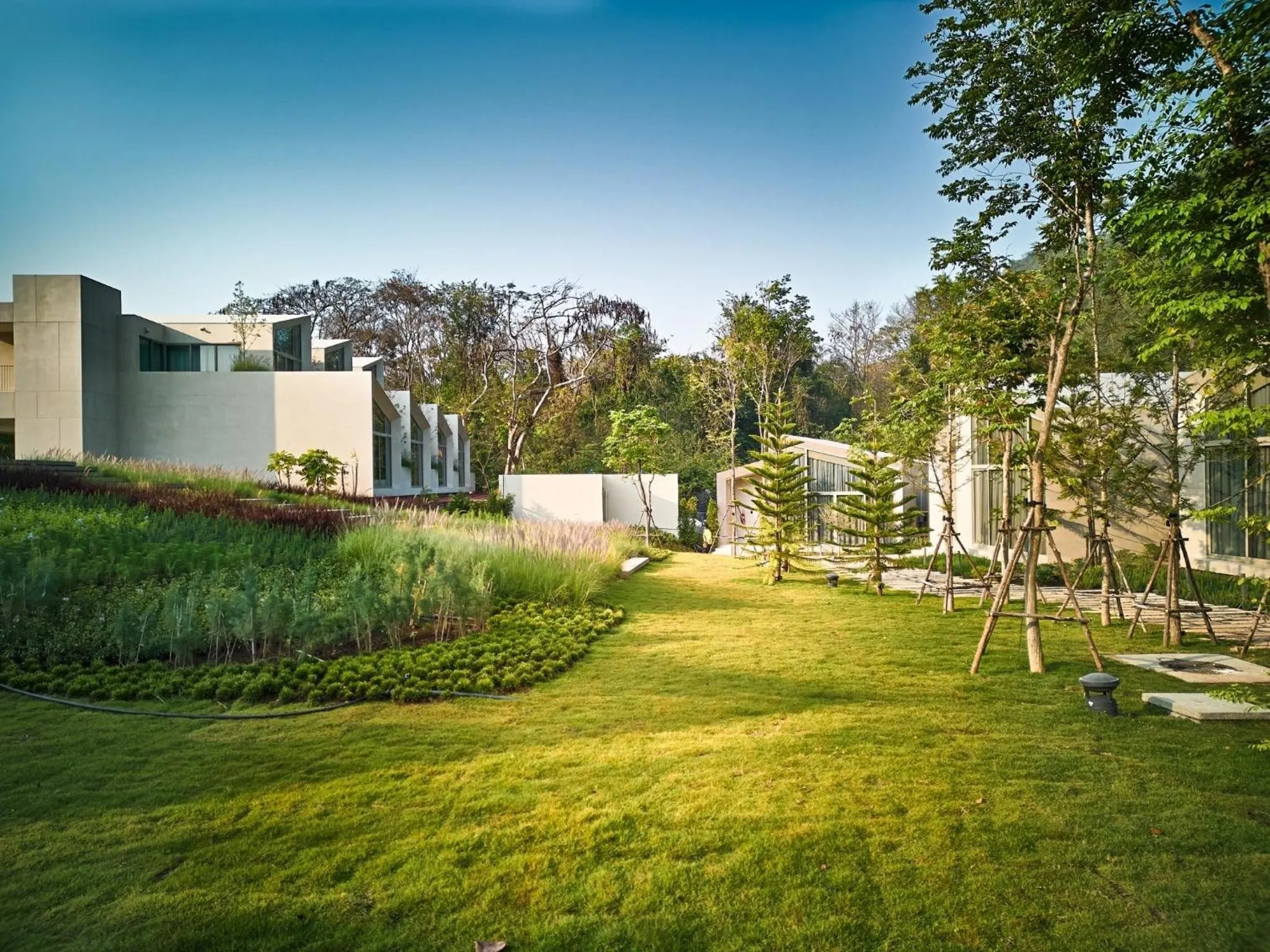 Area and facilities in Hotel MYS Khao Yai