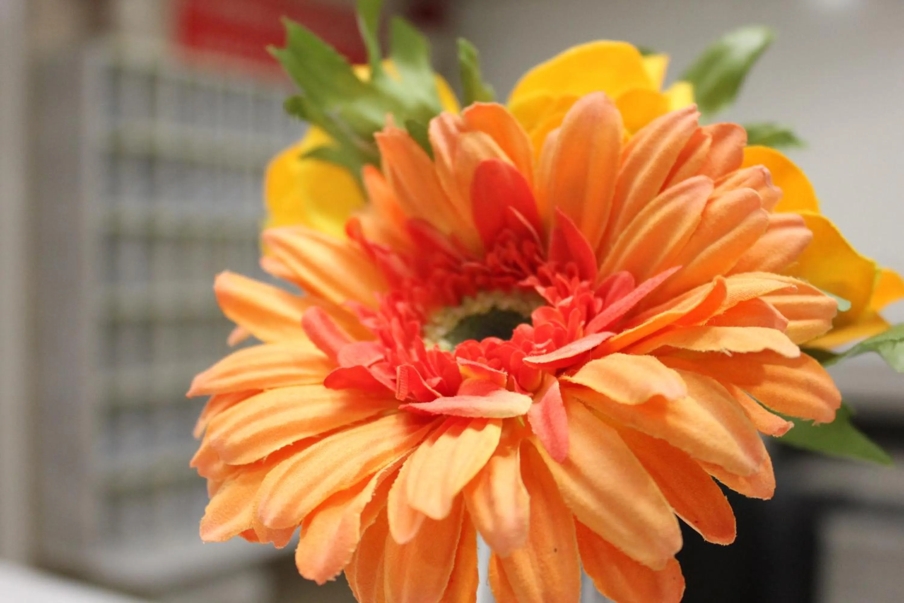 Other in Hellinis Hotel