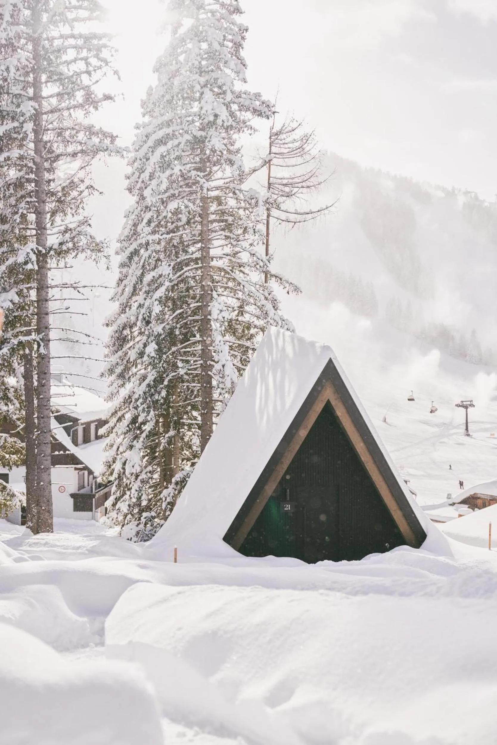 Property building in TRIFORÊT alpin resort