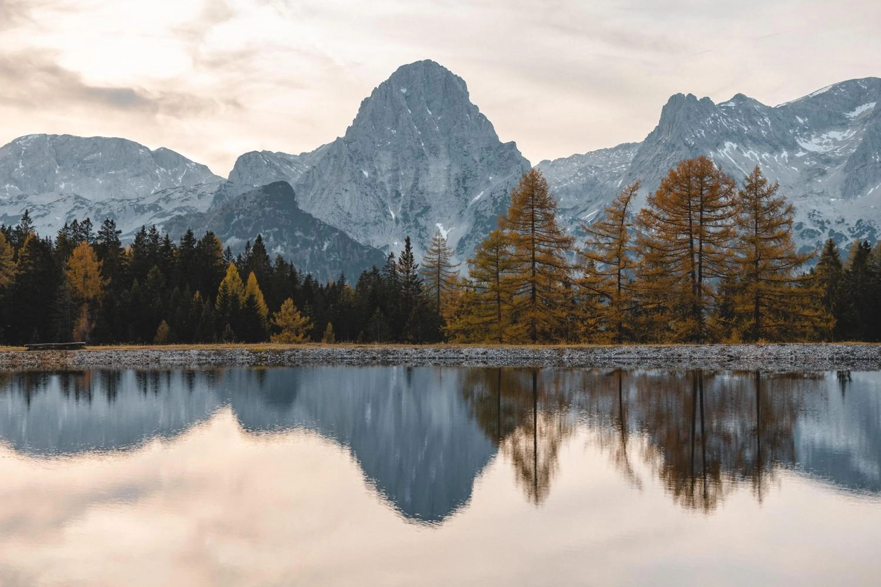 Natural landscape in TRIFORÊT alpin resort