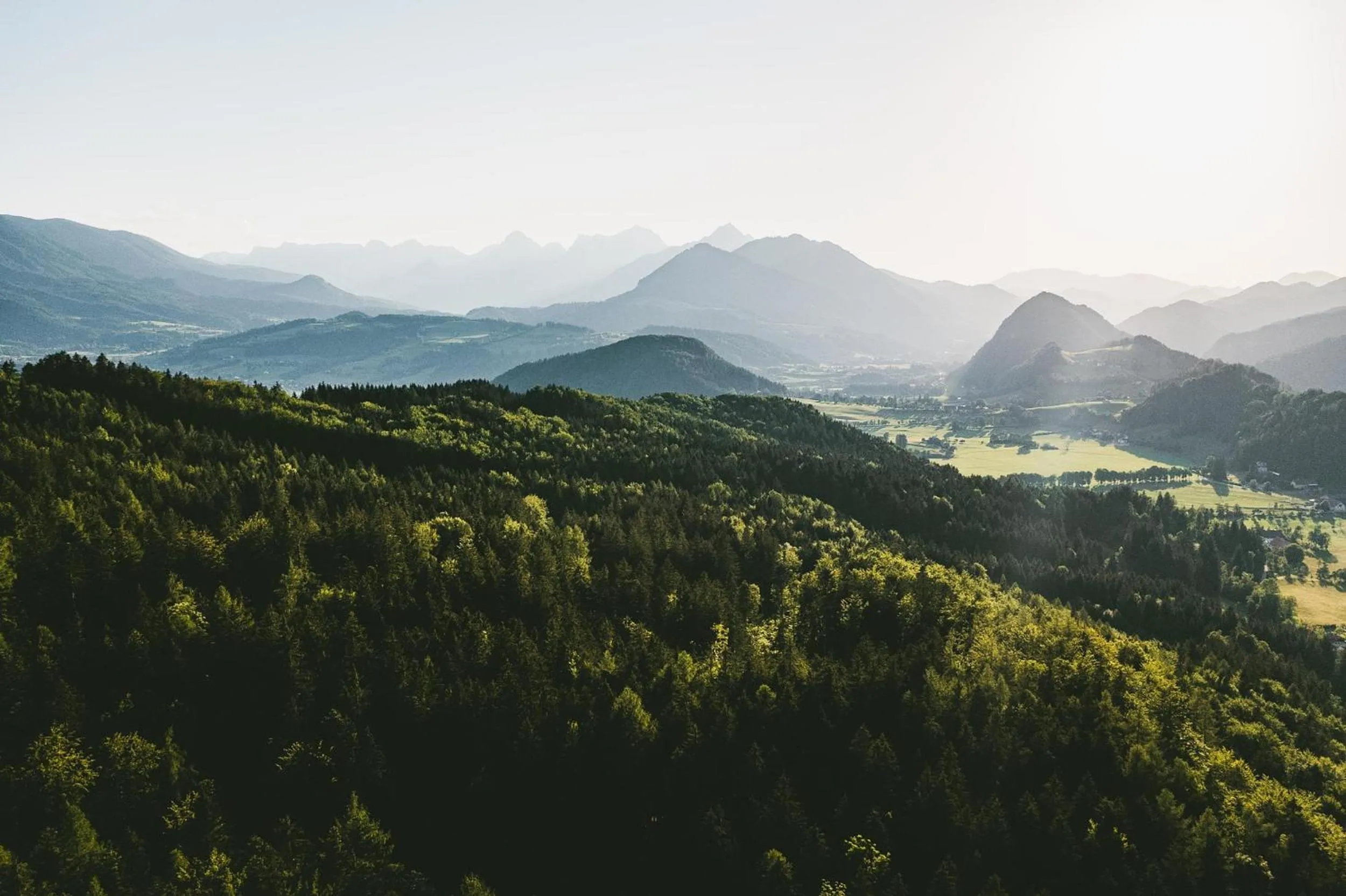 Natural landscape in TRIFORÊT alpin resort