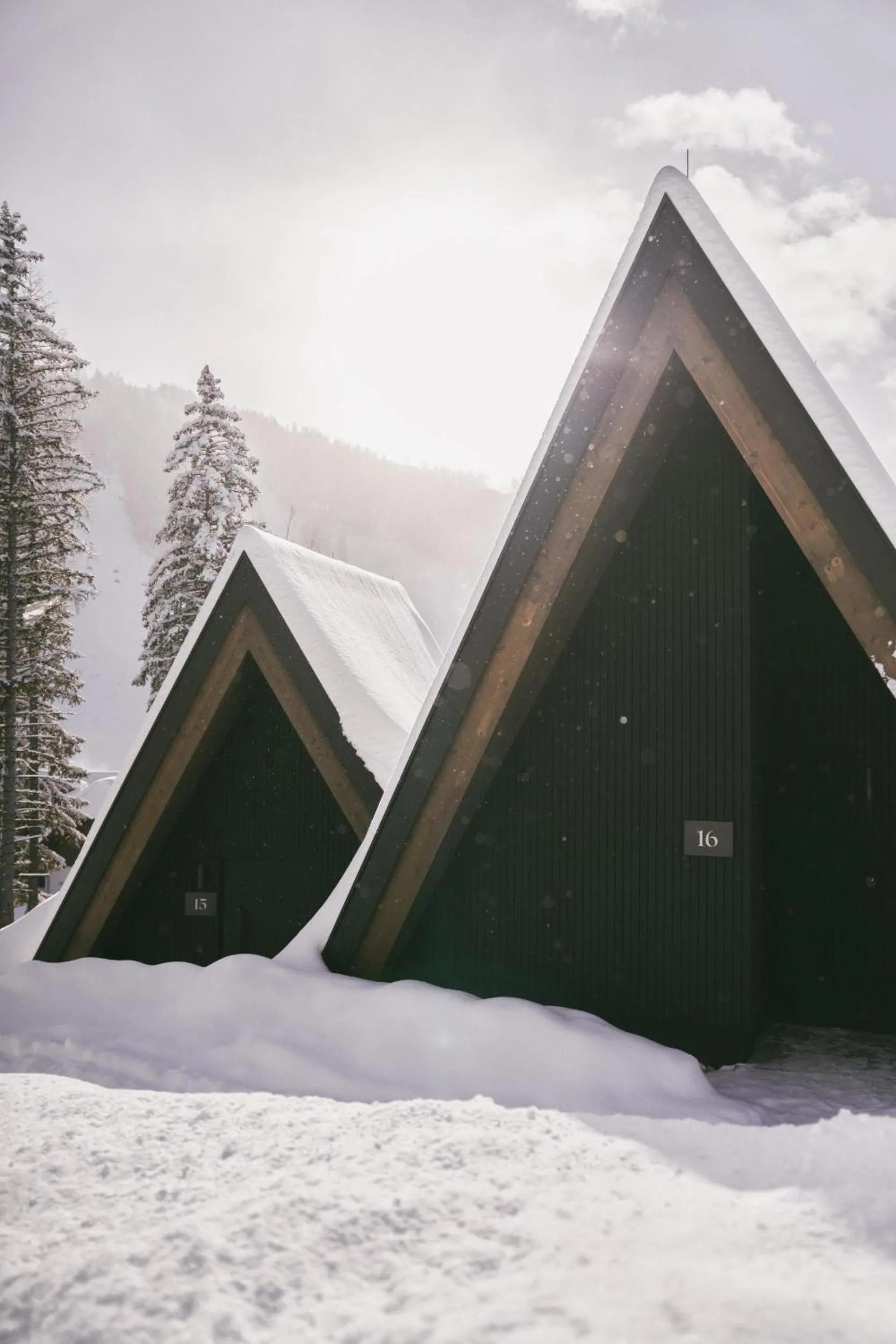 Property building in TRIFORÊT alpin resort