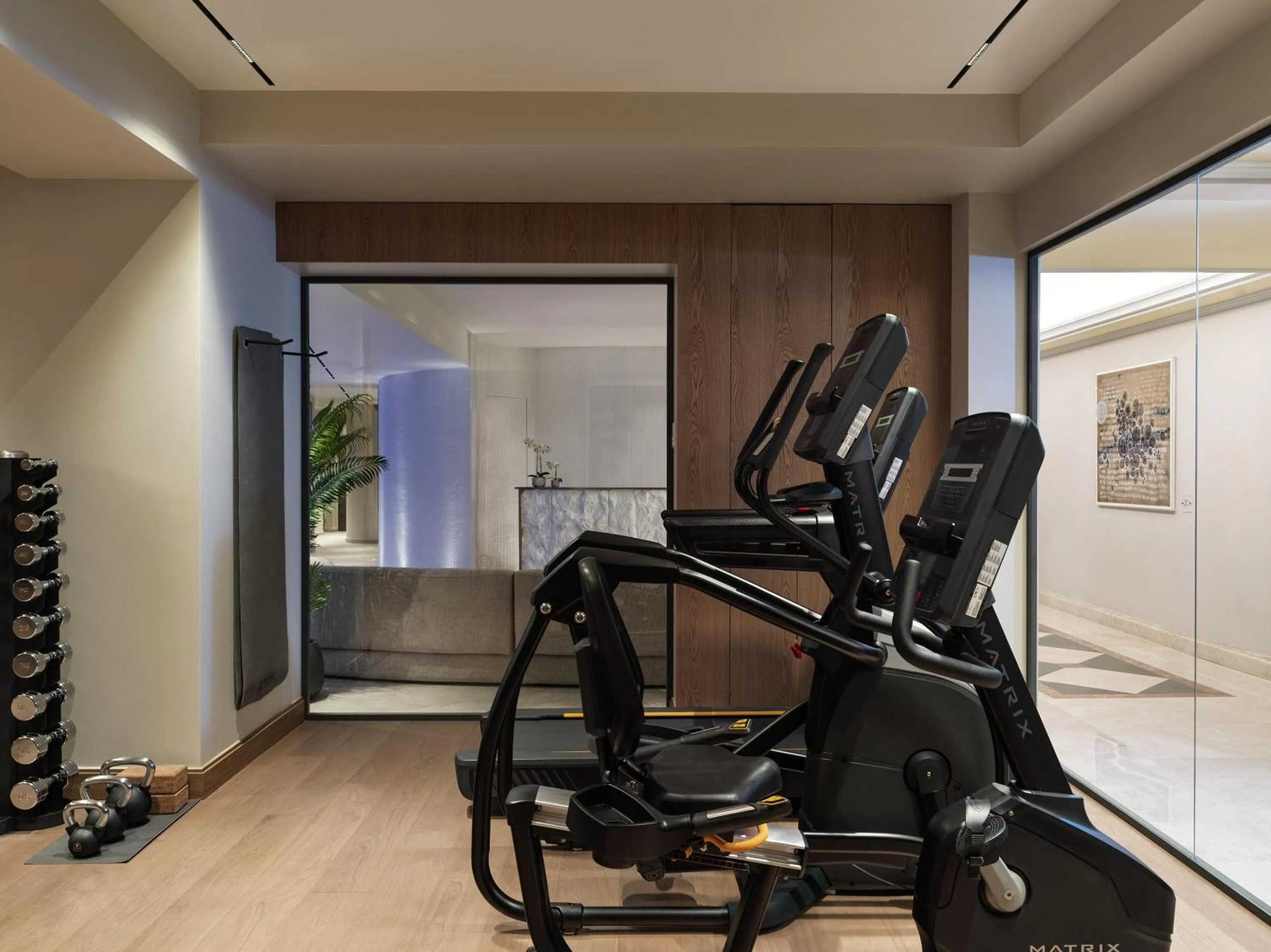 Activities in Electra Palace Athens