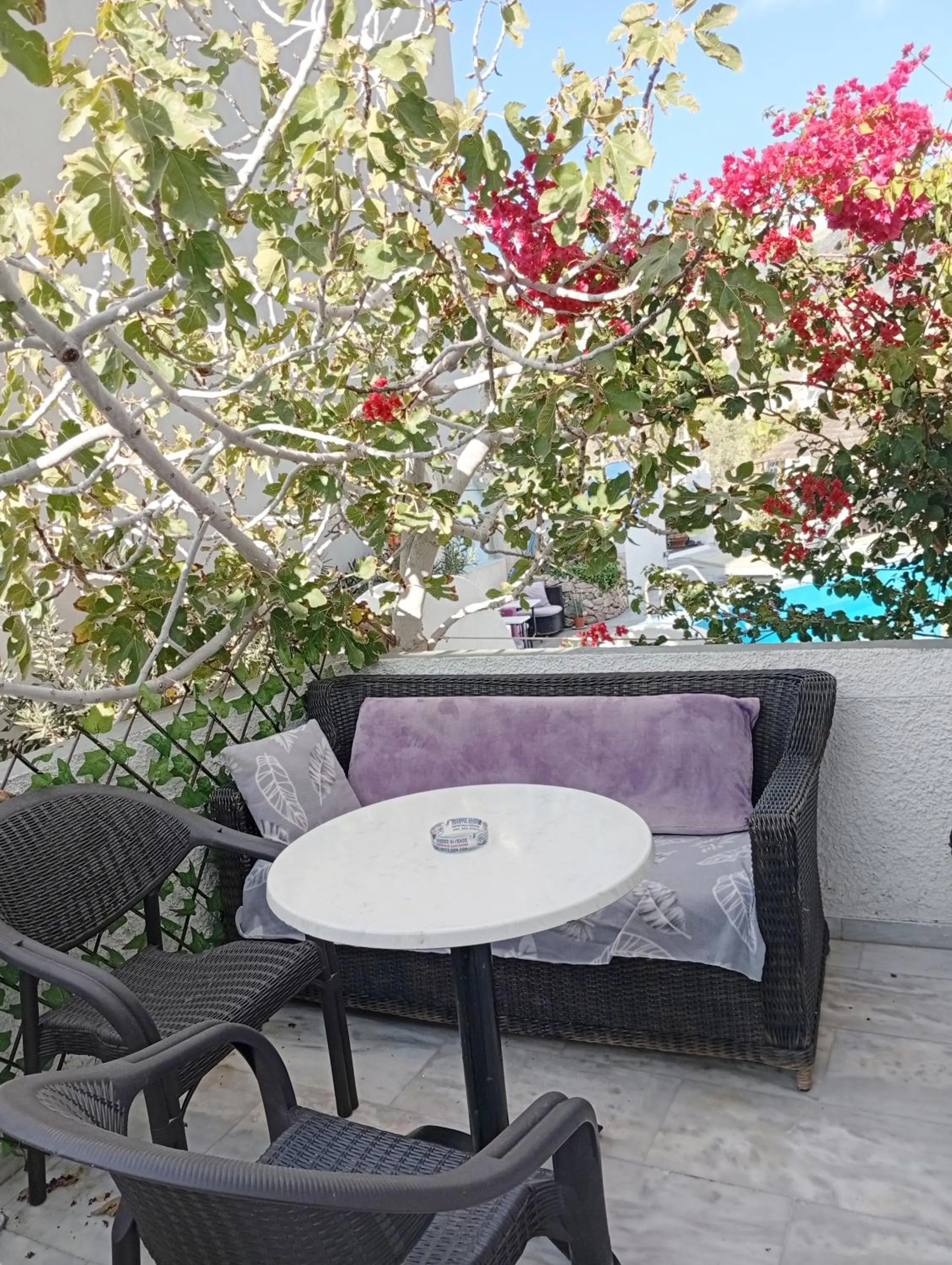 Balcony/Terrace in The Best