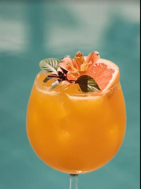 Swimming pool in Sempre Vivo