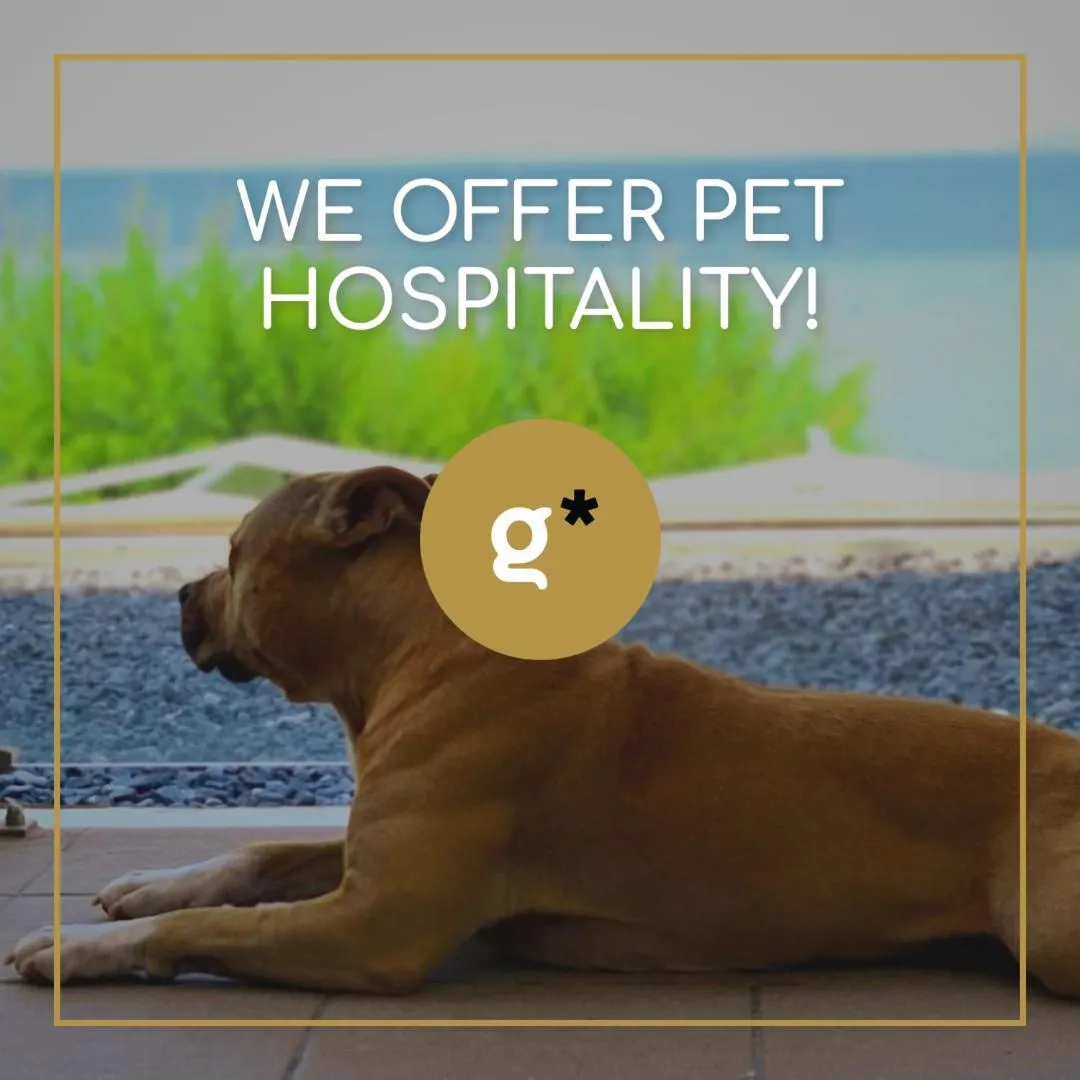 pet friendly in Golden Star City Resort