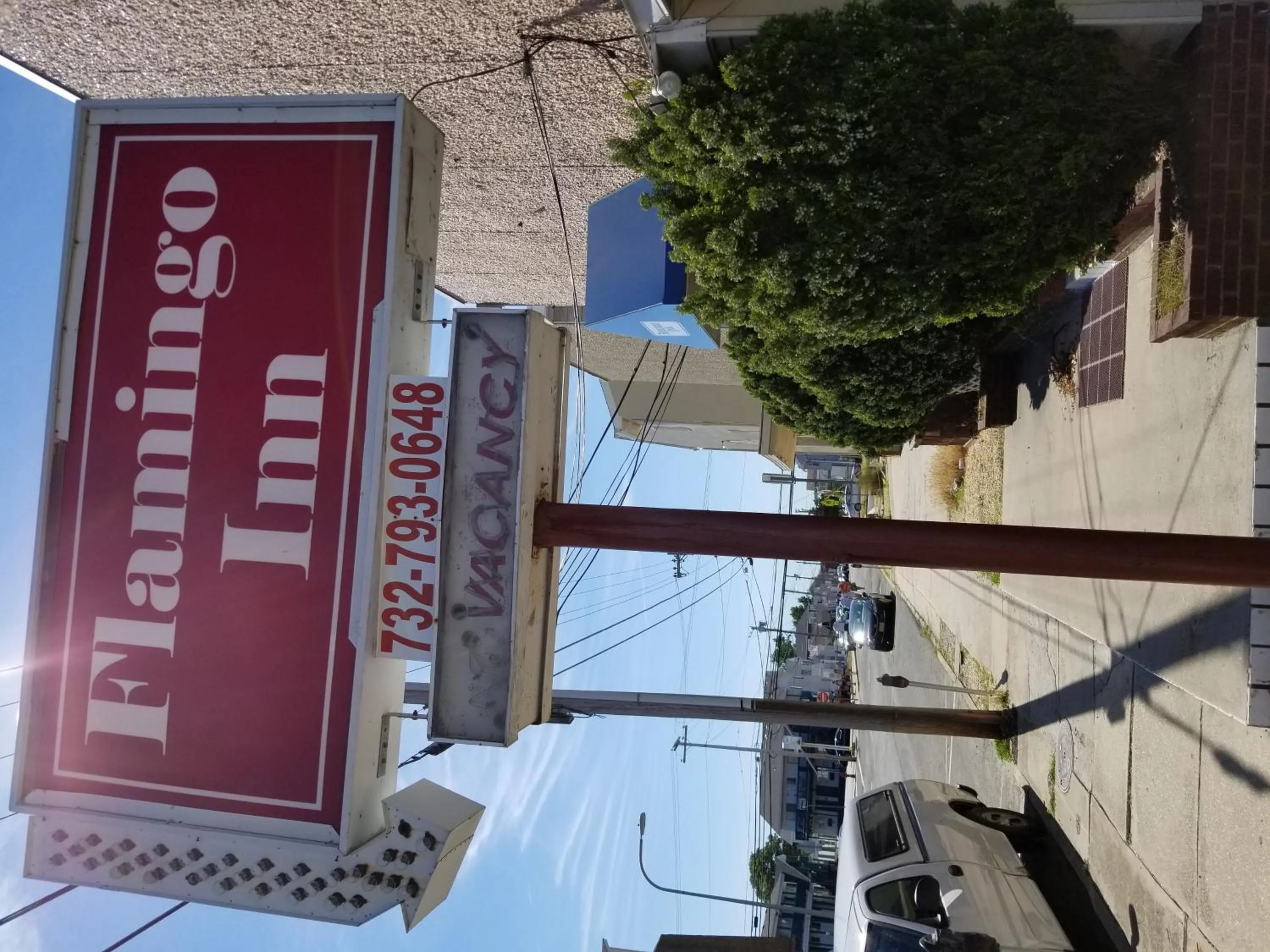 Logo/Certificate/Sign in Flamingo Inn