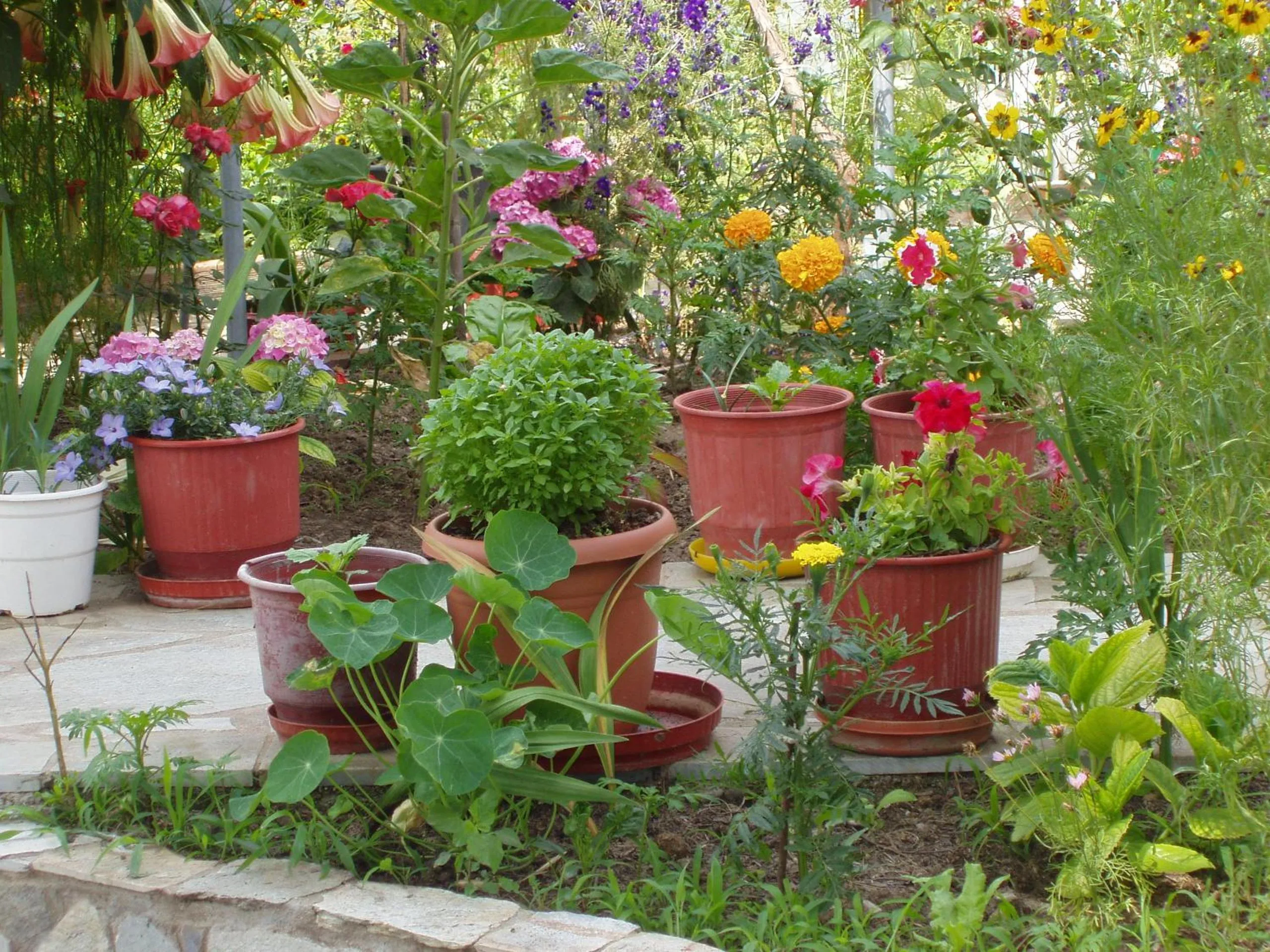 Garden in Villa Kavourakia
