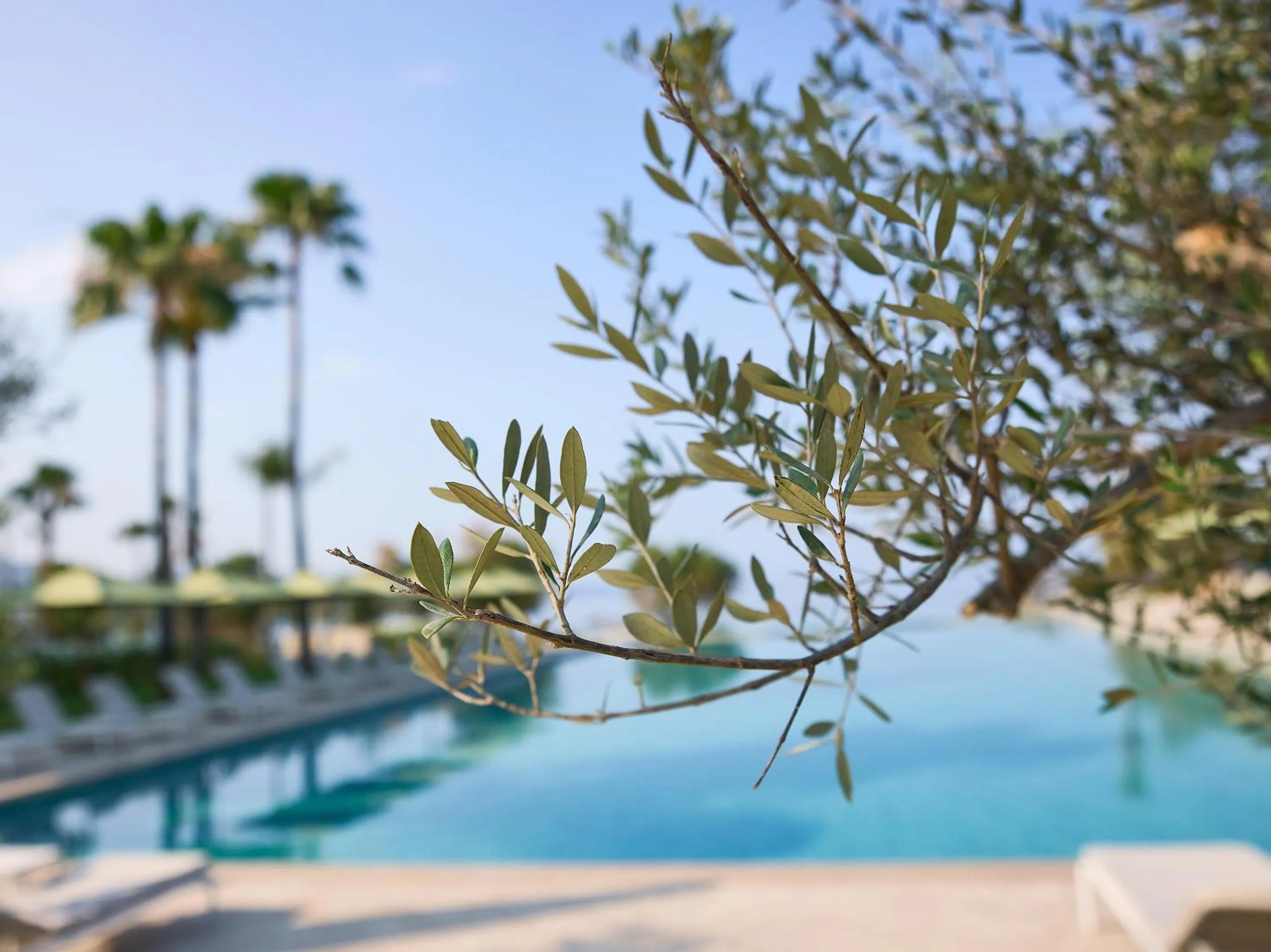 Swimming pool in Grecotel Filoxenia