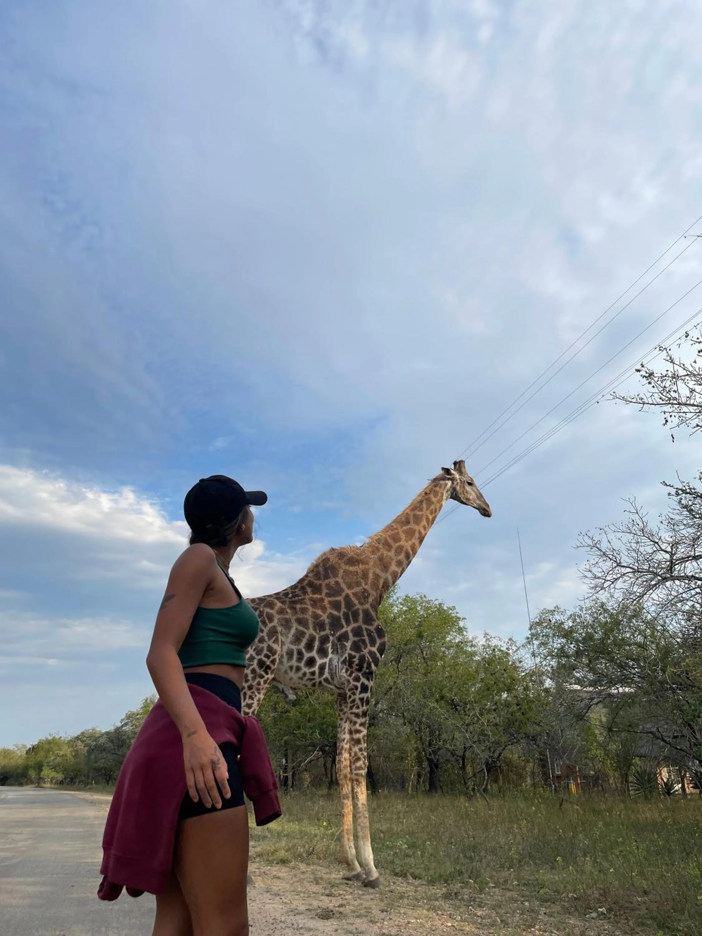 Garden in Kruger Park Hostel
