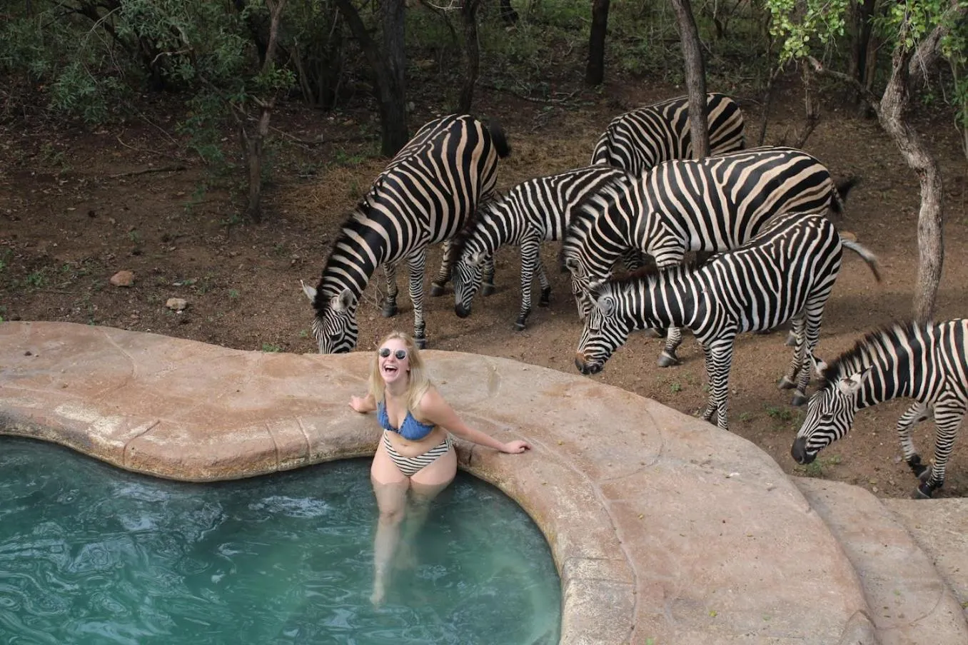 Animals in Kruger Park Hostel