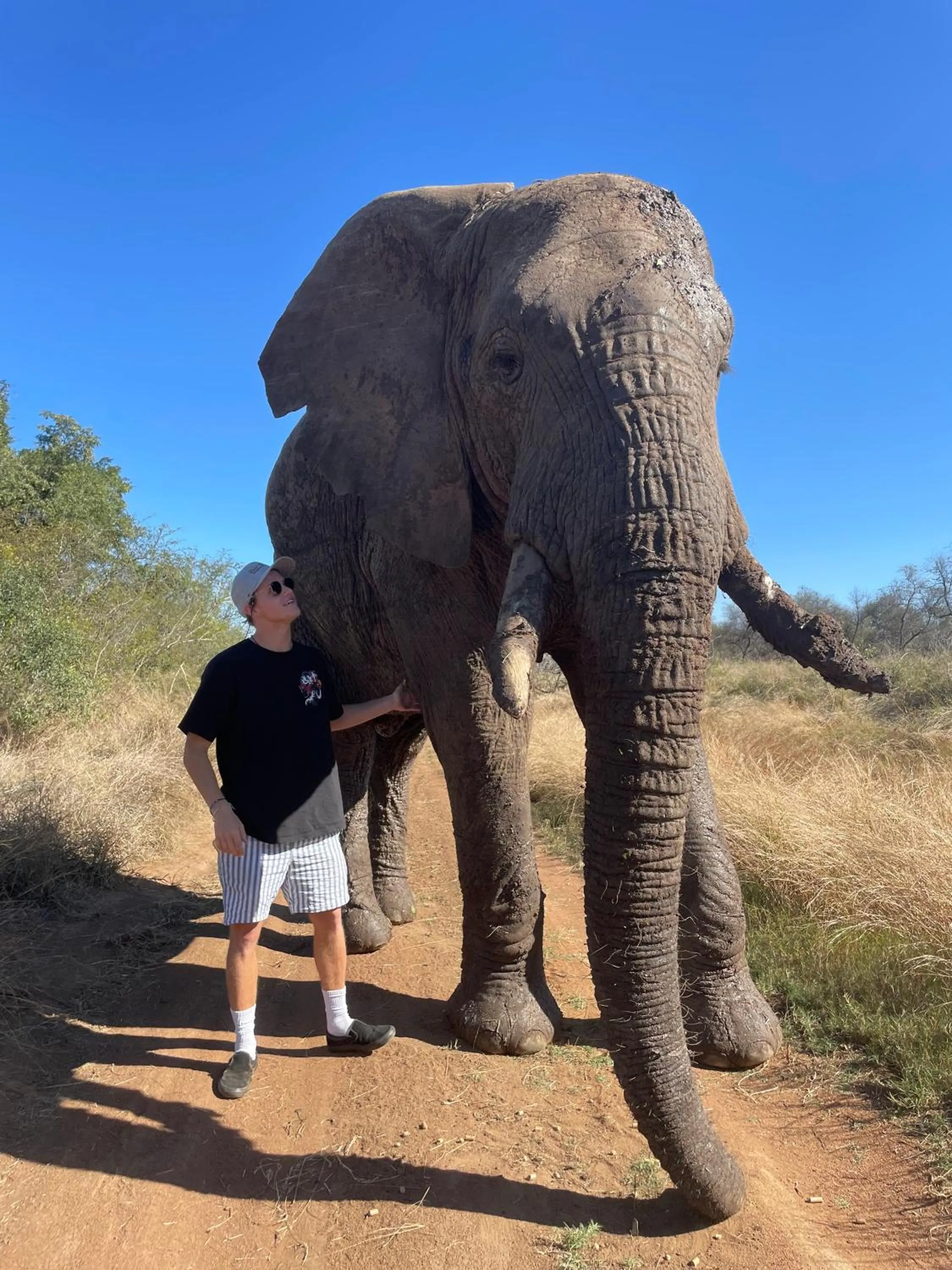 Animals in Kruger Park Hostel