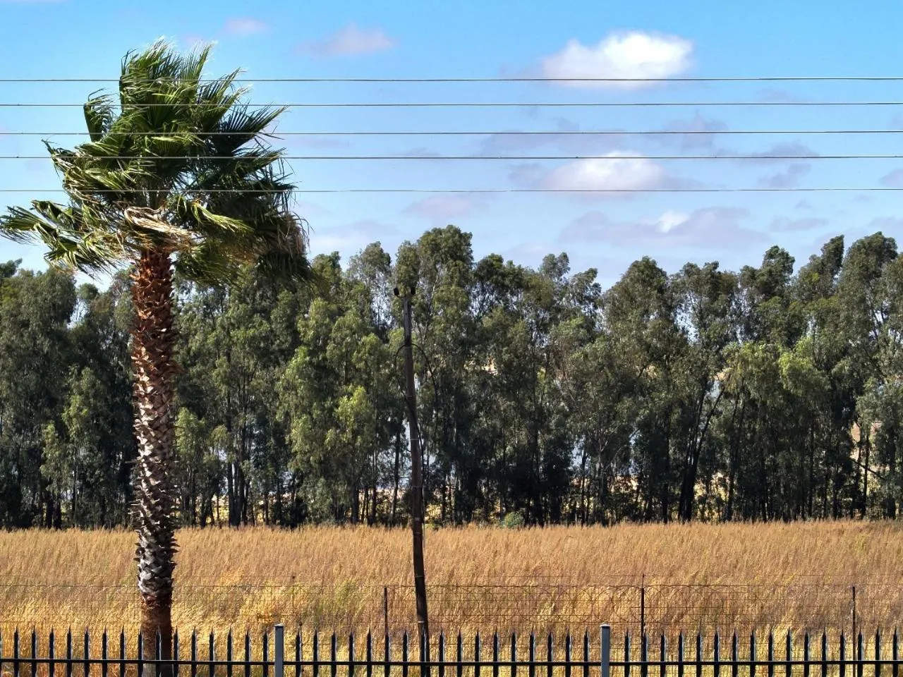Natural landscape in La Maison on Vaal Bed and Breakfast